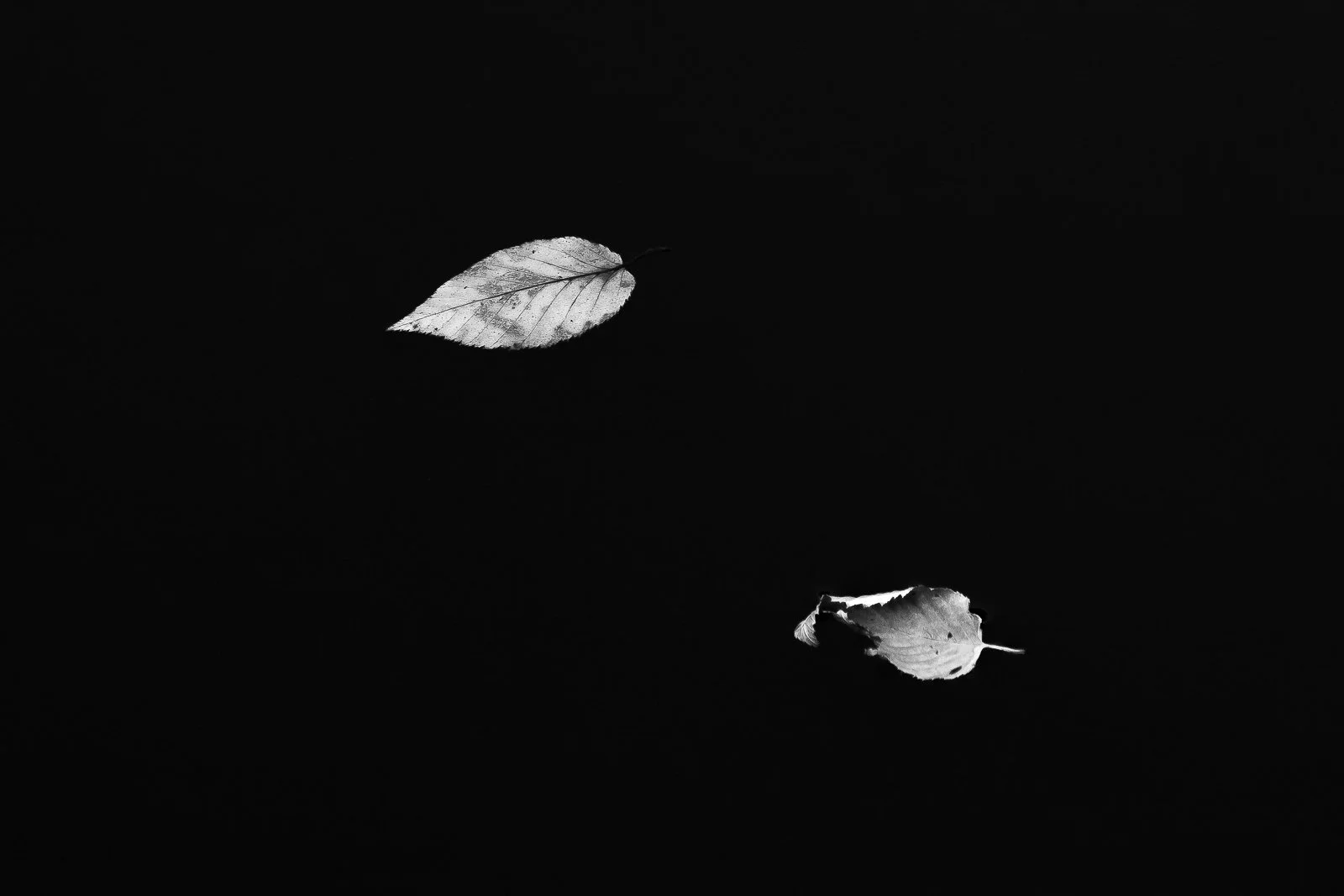 drift-and-die-II.jpg