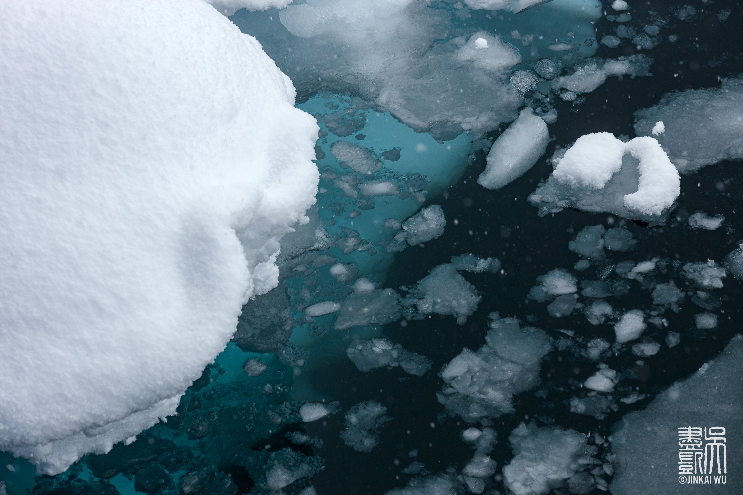 017_antarcticaHighlights__DS_6072.jpg