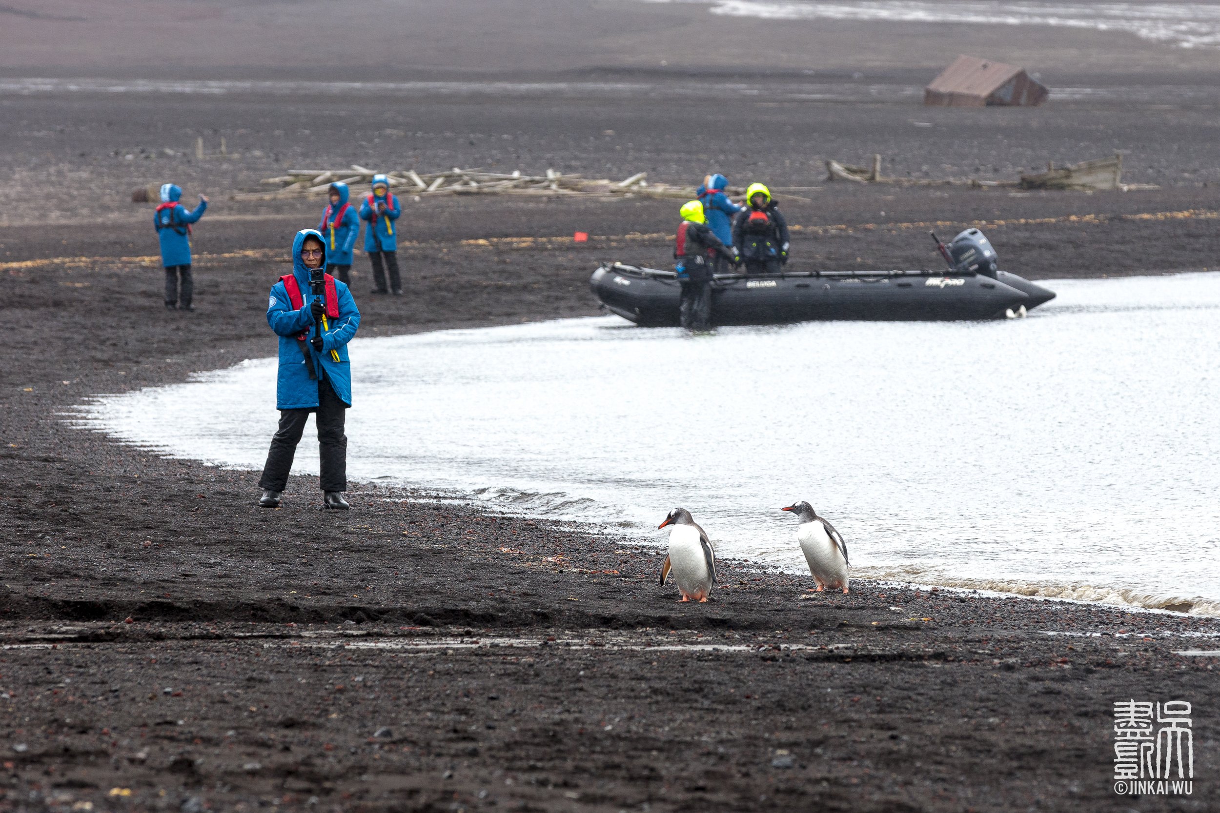 010_antarcticaHighlights__DS_5700.jpg