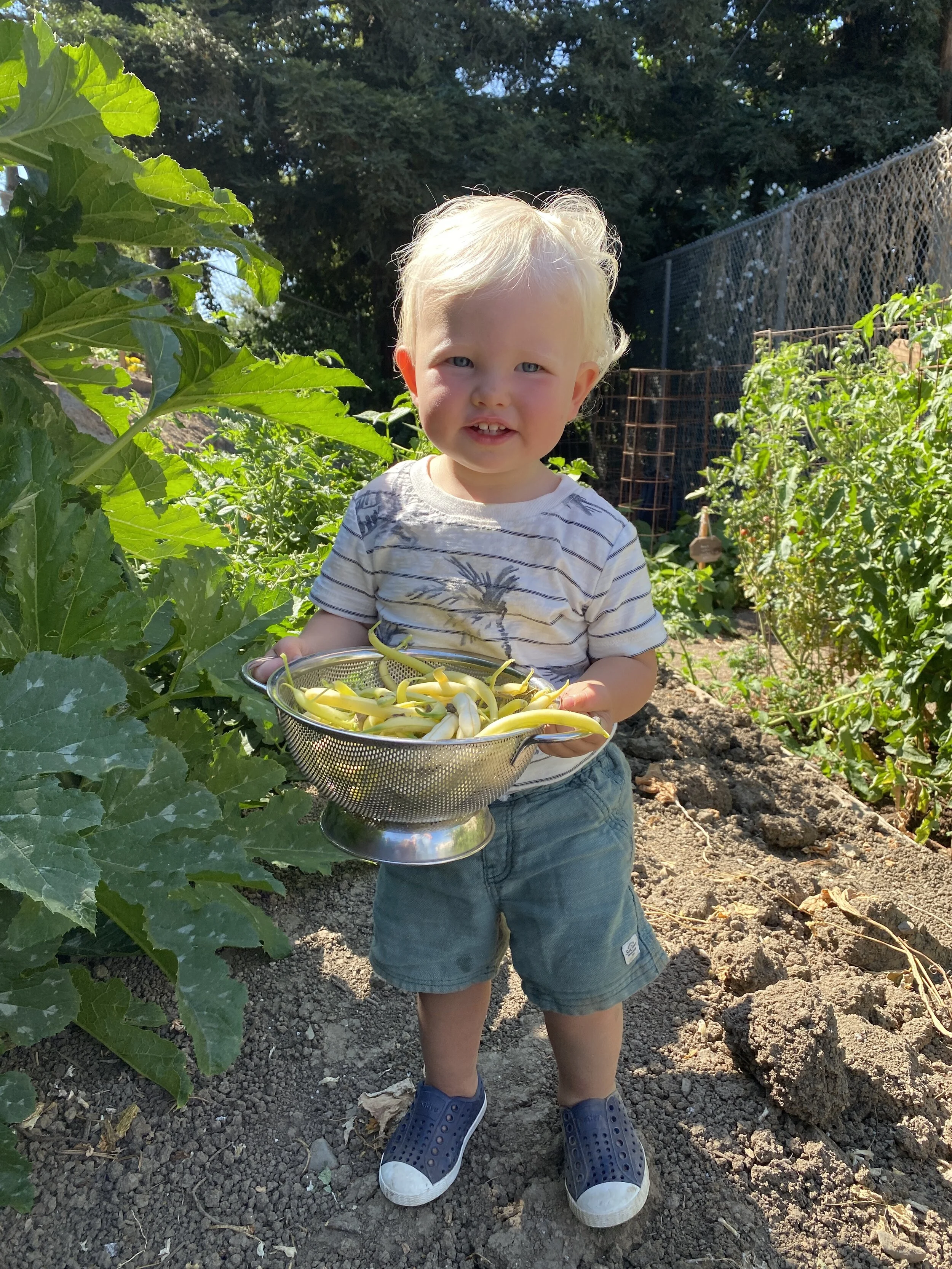 Aiden with beans