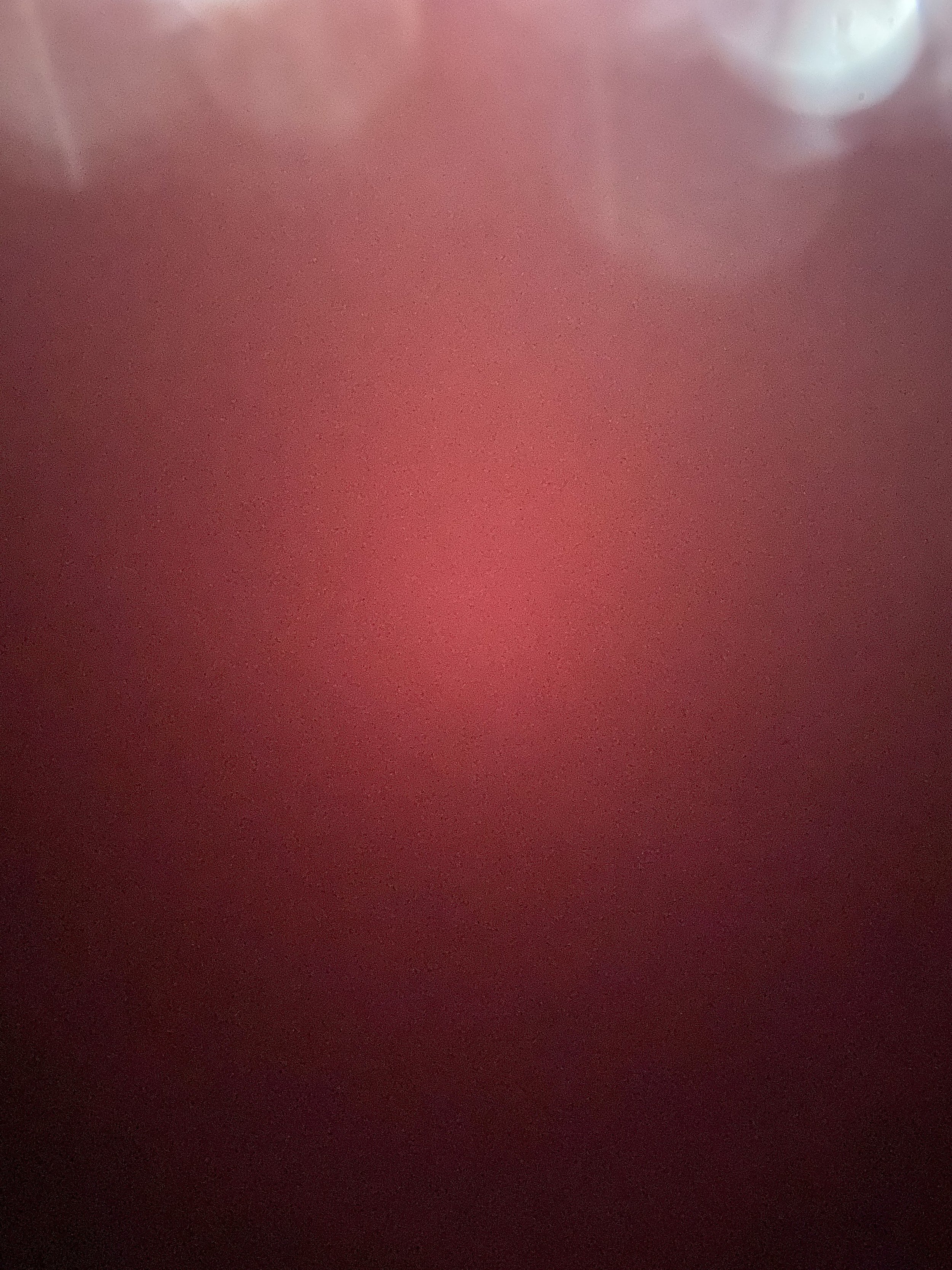 IMG_8691.jpeg