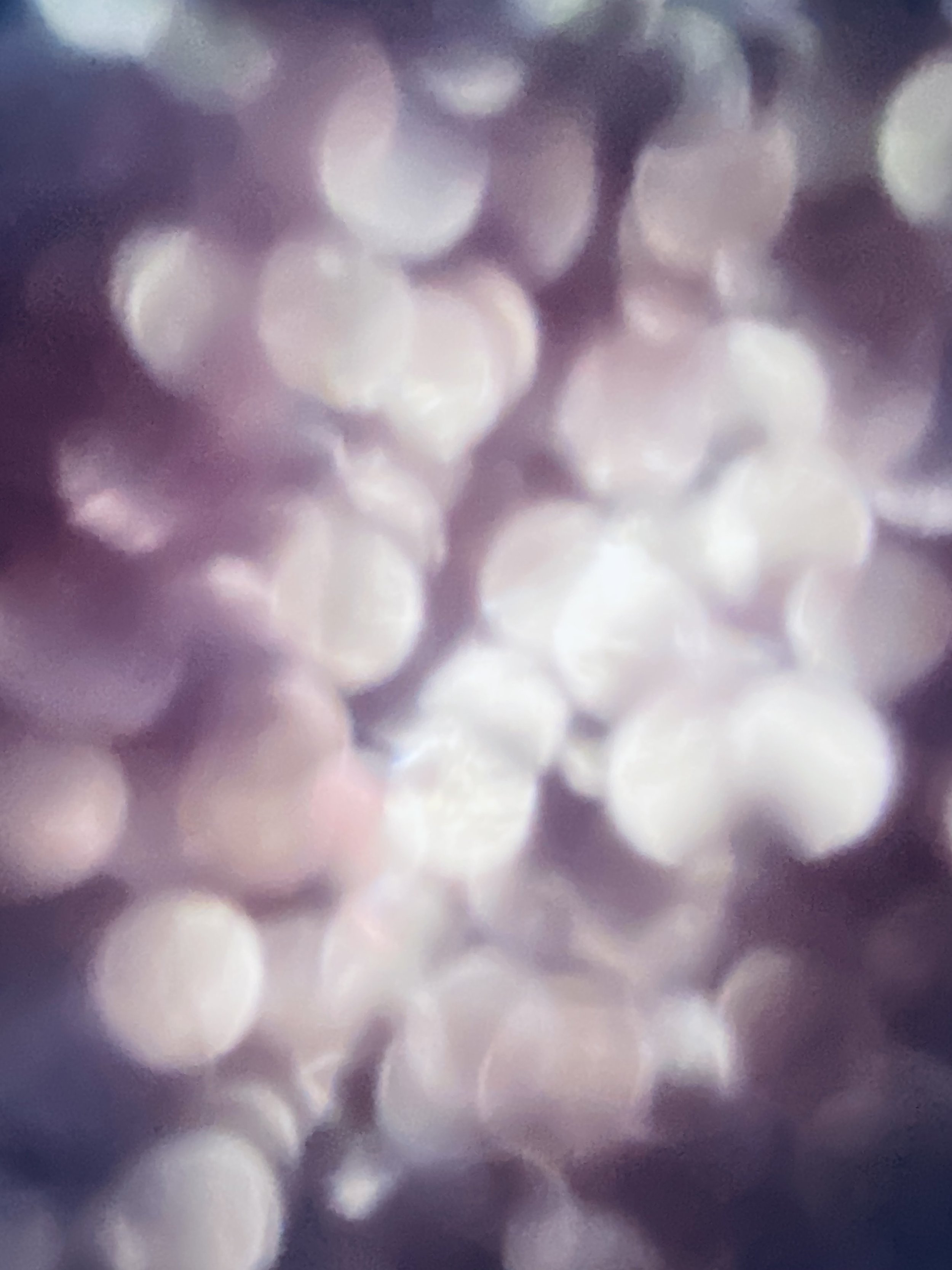 IMG_8697.jpeg