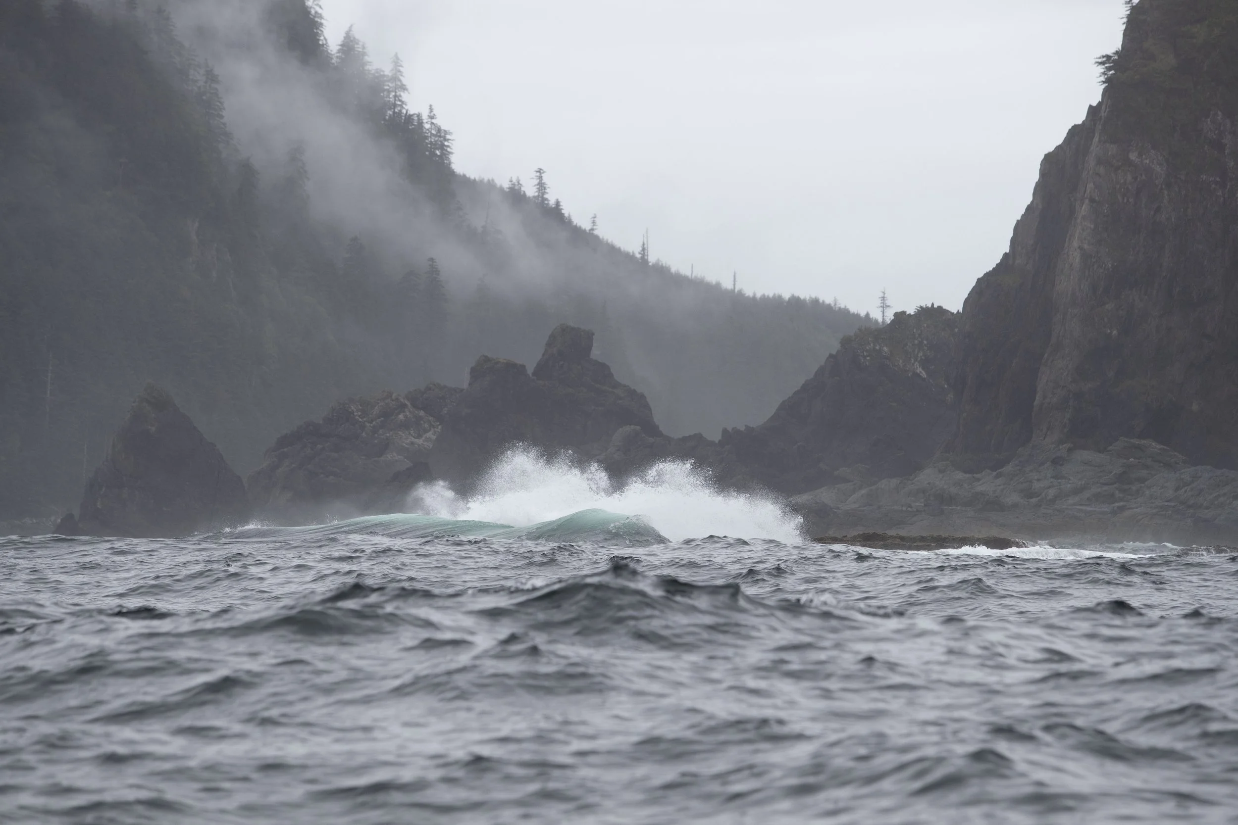 Haida Wild — Haida Enterprise Corporation