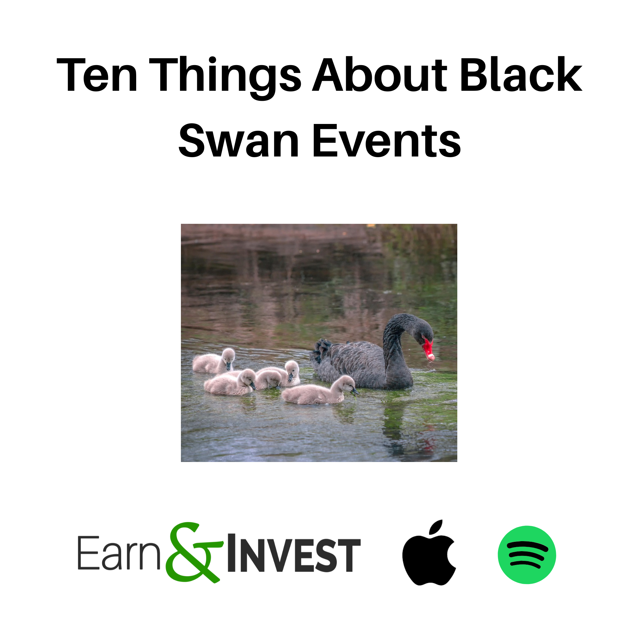 Ten Things About Black Swan Events