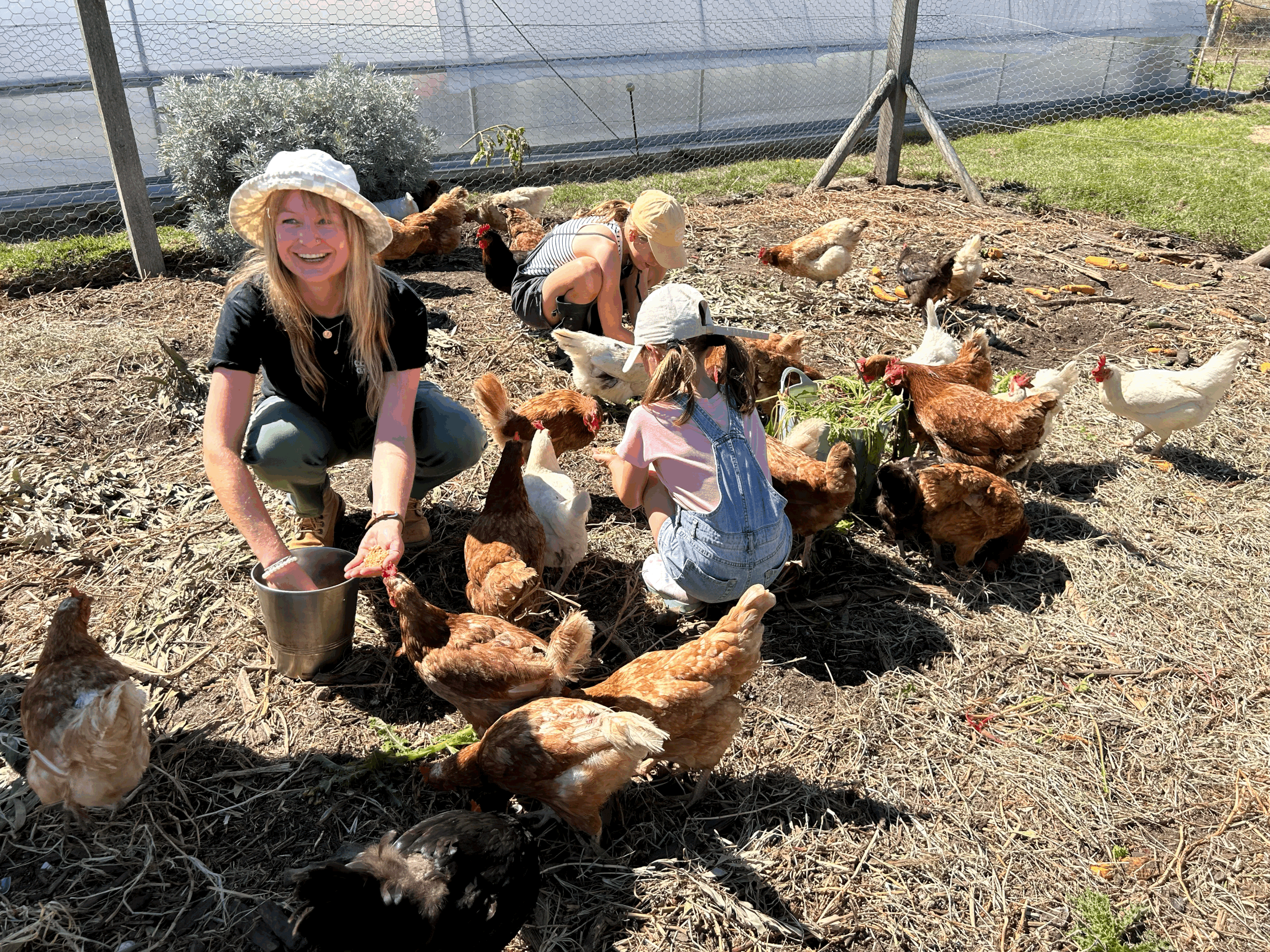 Joining the CGP Education Team