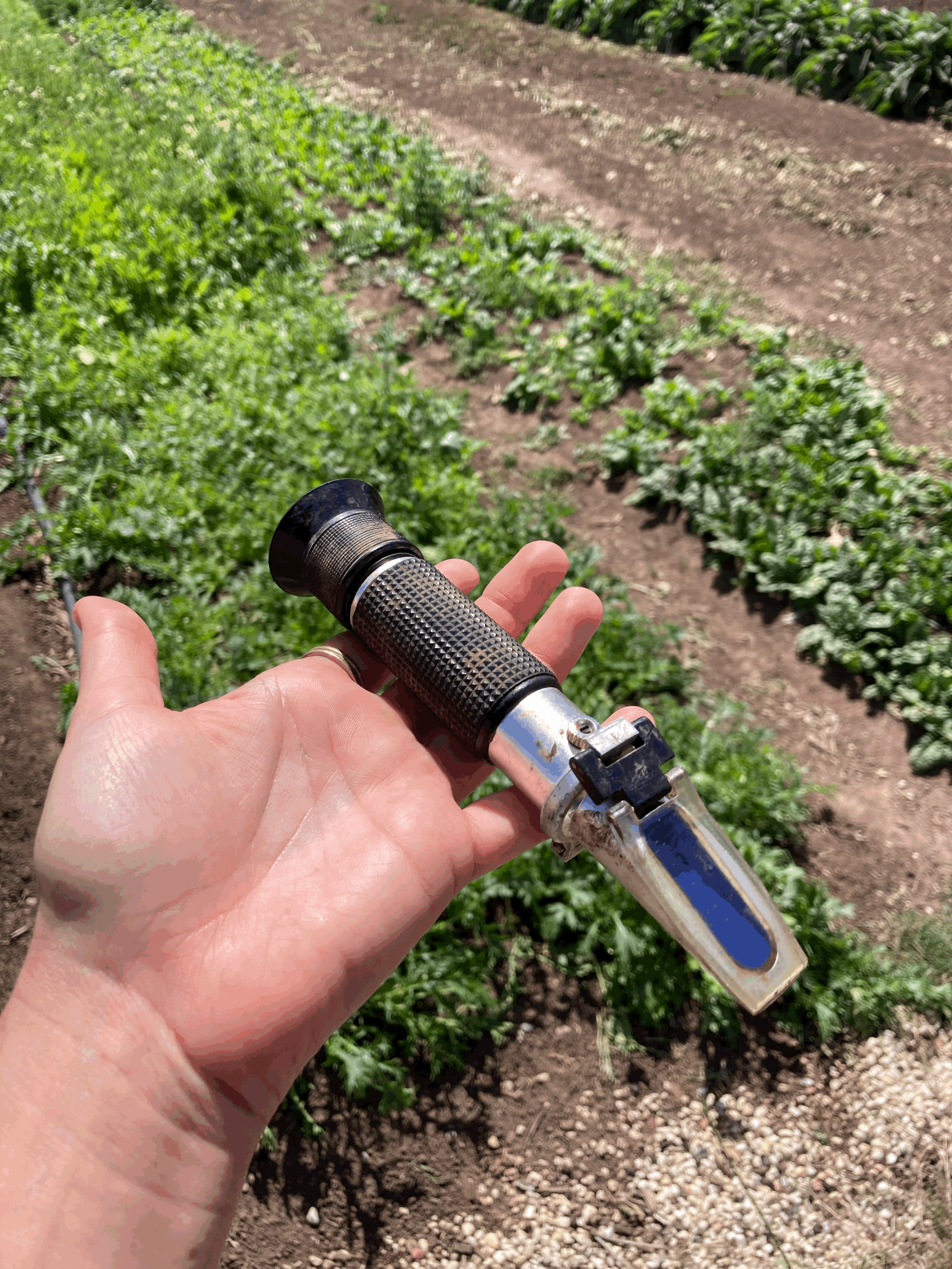 Food Nutrient Density and Soil Quality with Tony from Resilience Farming