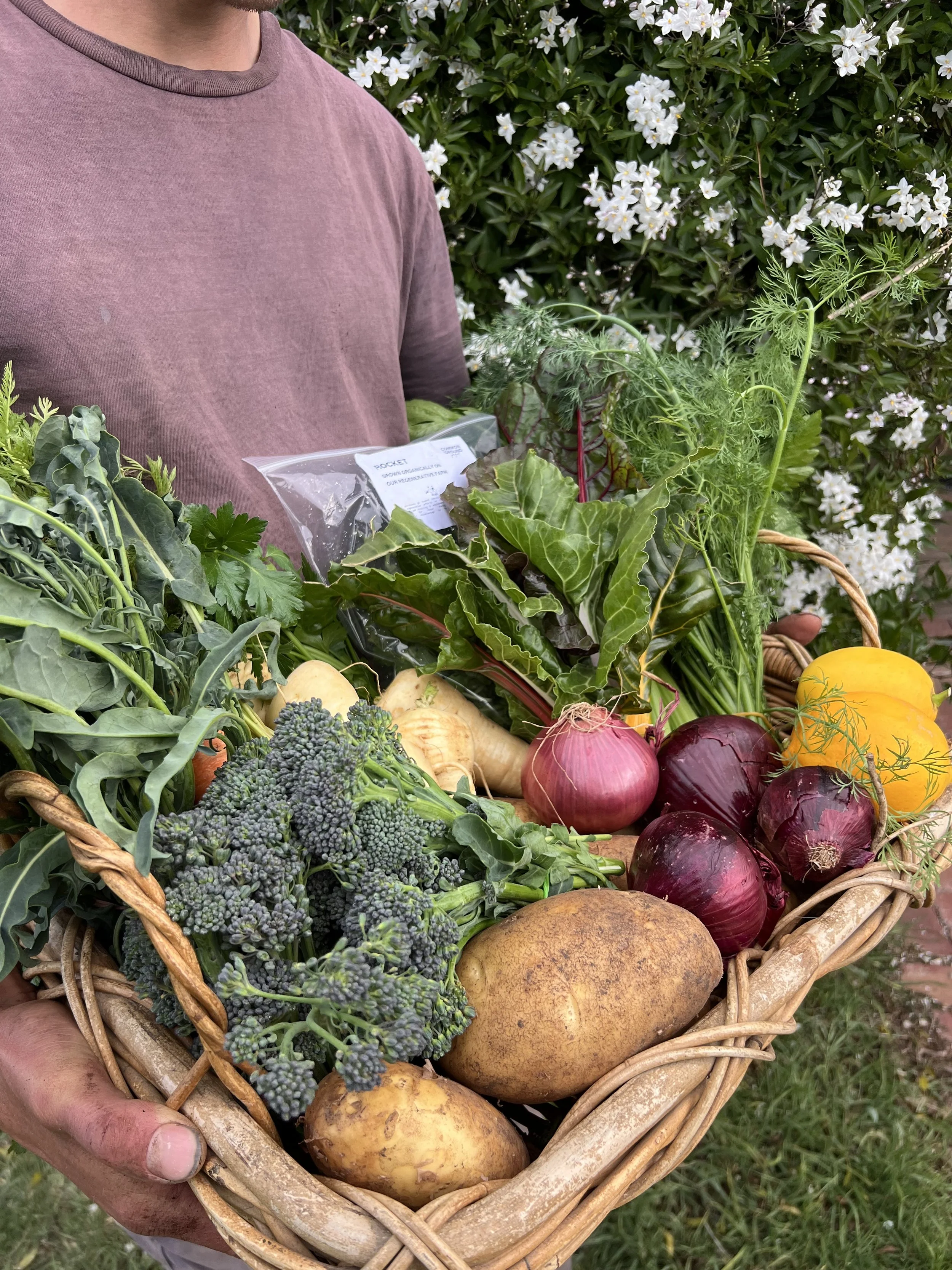 family harvest veggie box side view.jpeg