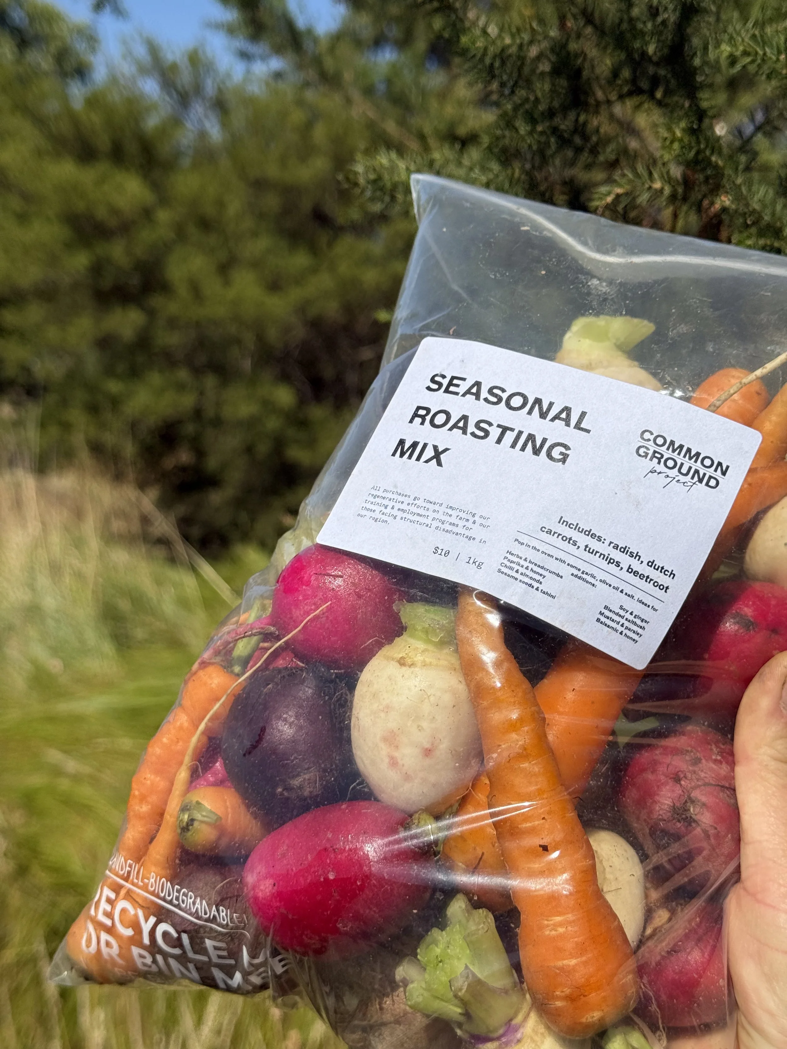 seasonal roast veg mix.jpeg