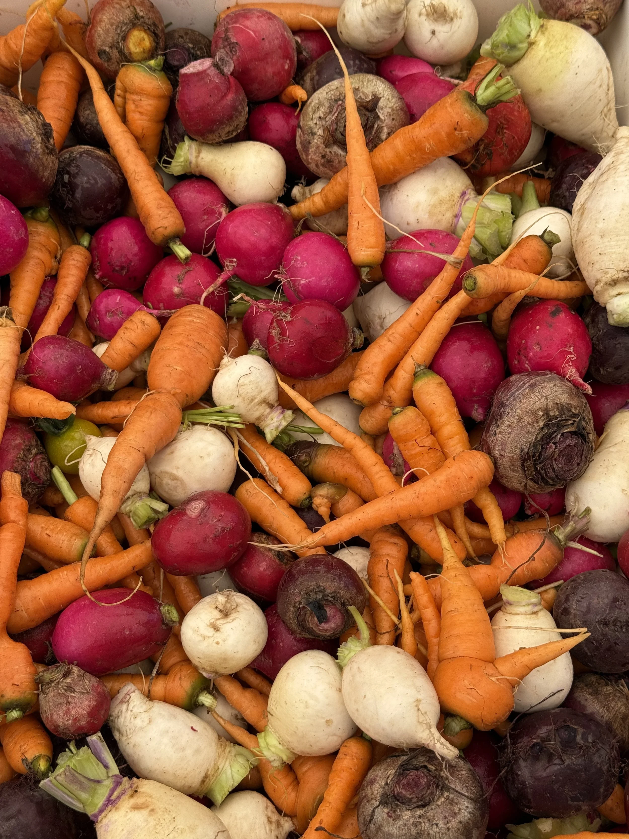 roast veg mix close up_summer 2026.jpeg