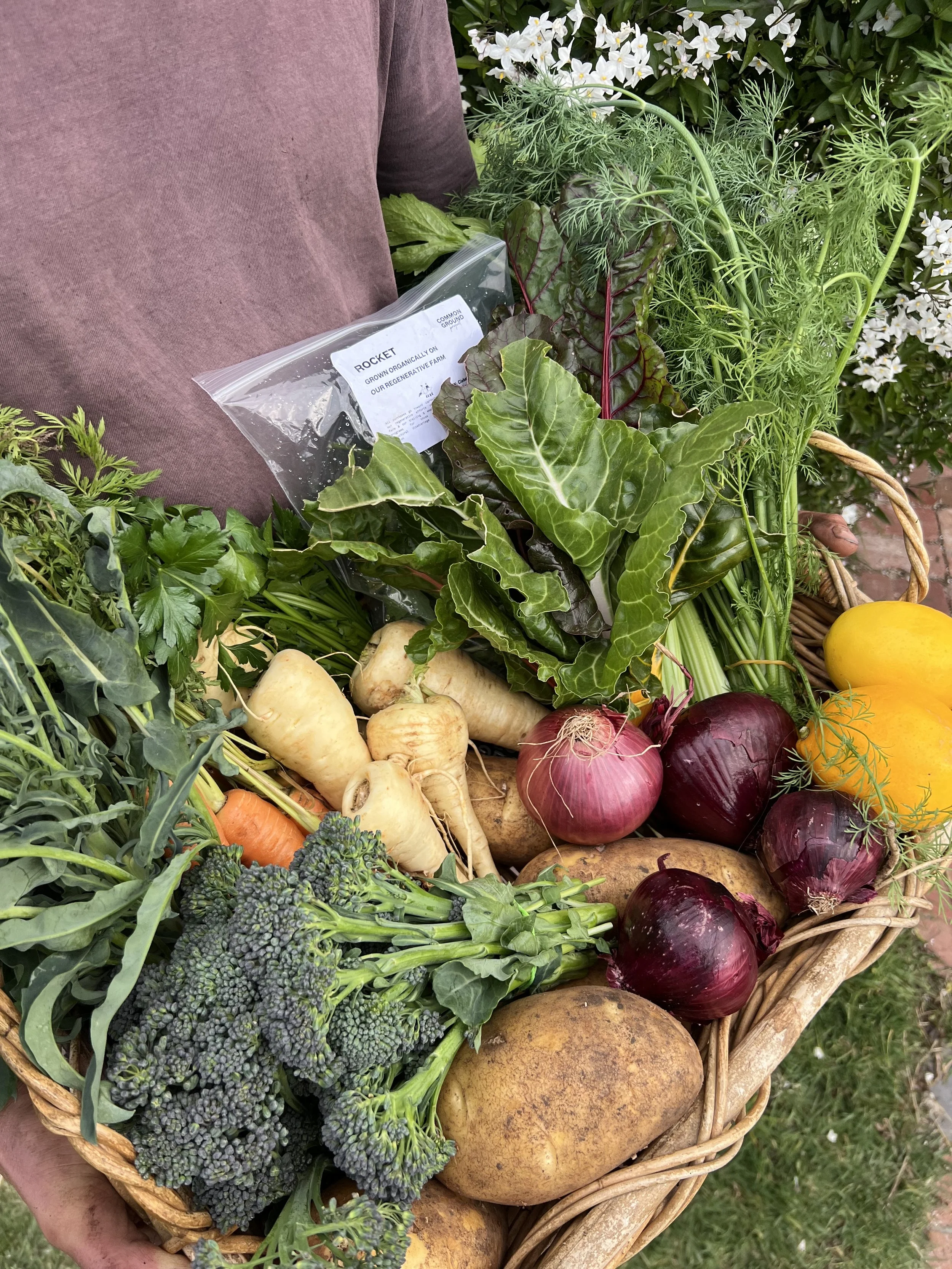 family harvest veggie box close up.jpeg