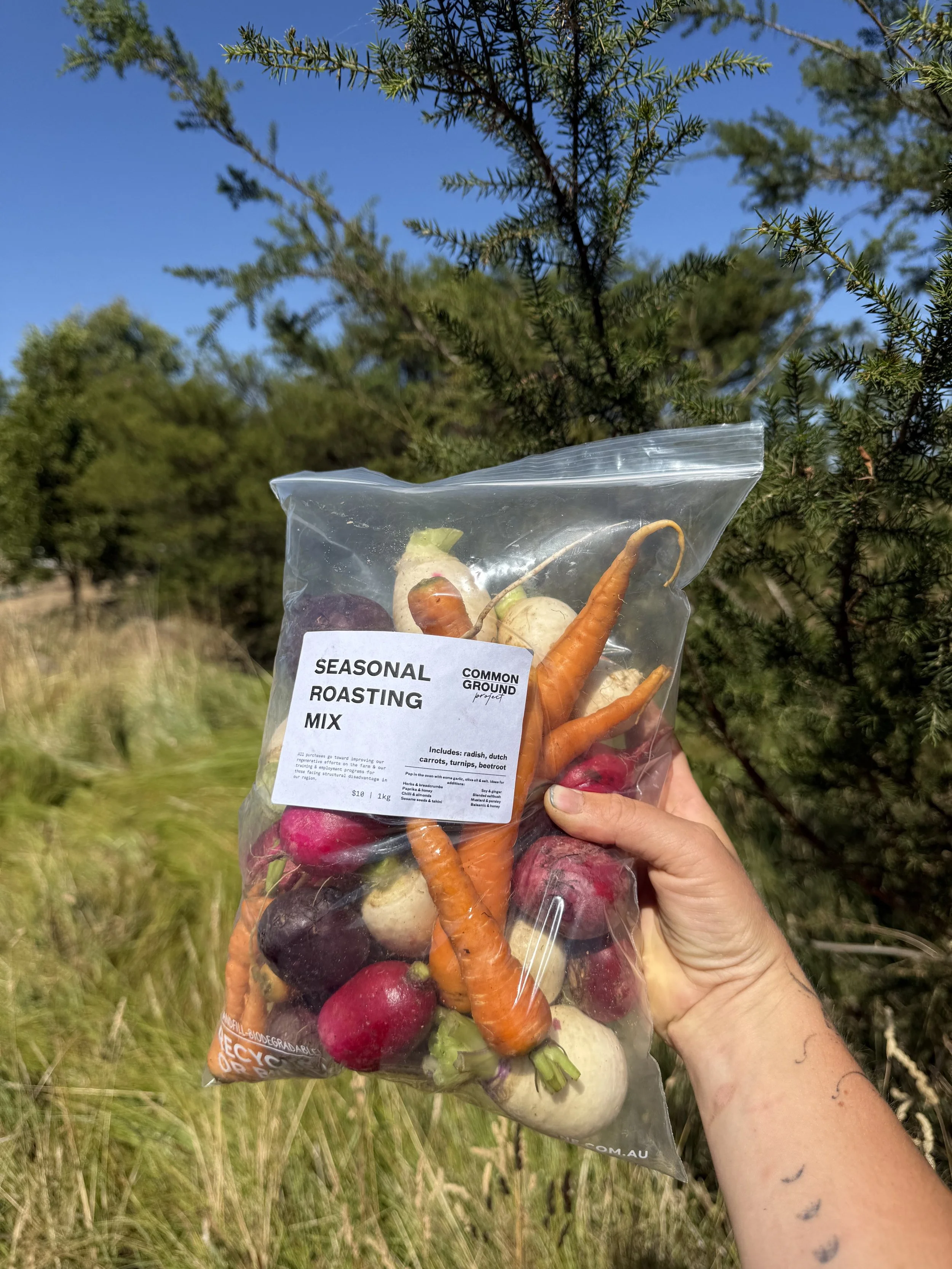 roast veg mix bag_wide shot.jpeg