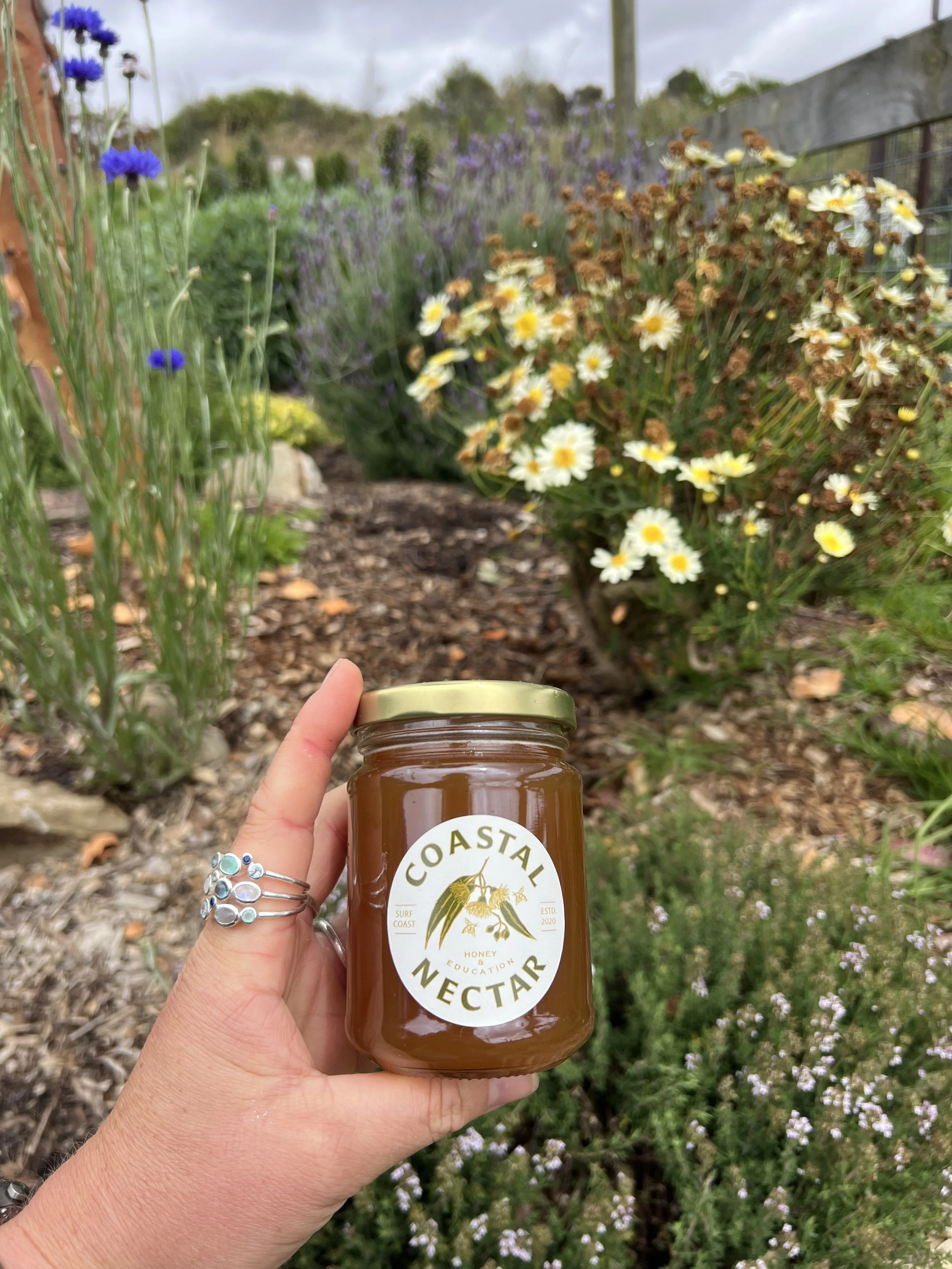 coastal nectar honey.jpeg (Copy)