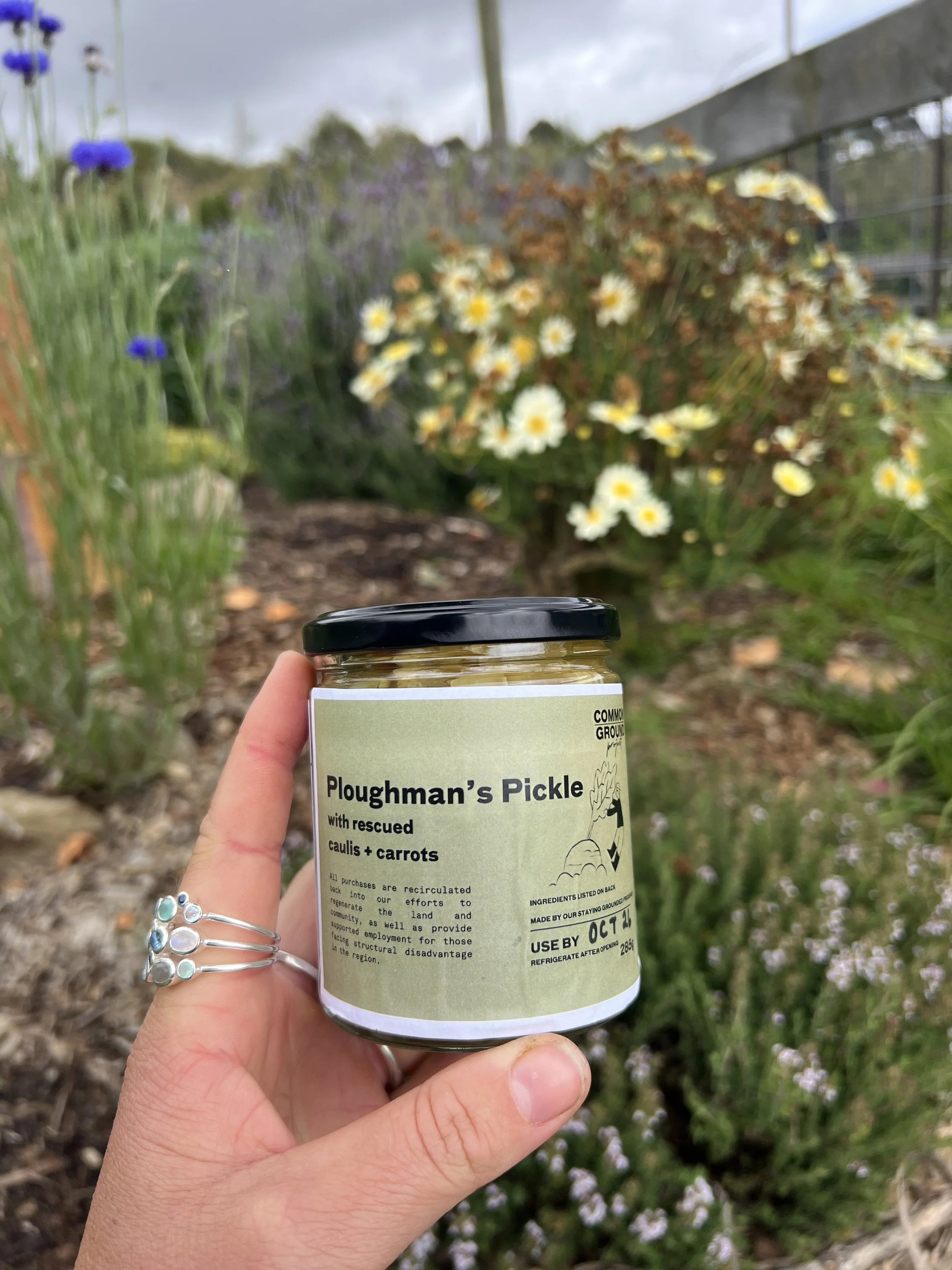 ploughmans pickle.jpeg