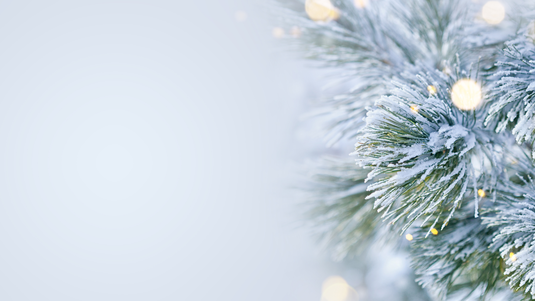 How (and Why) To: Continue Your Job Search During the Holidays