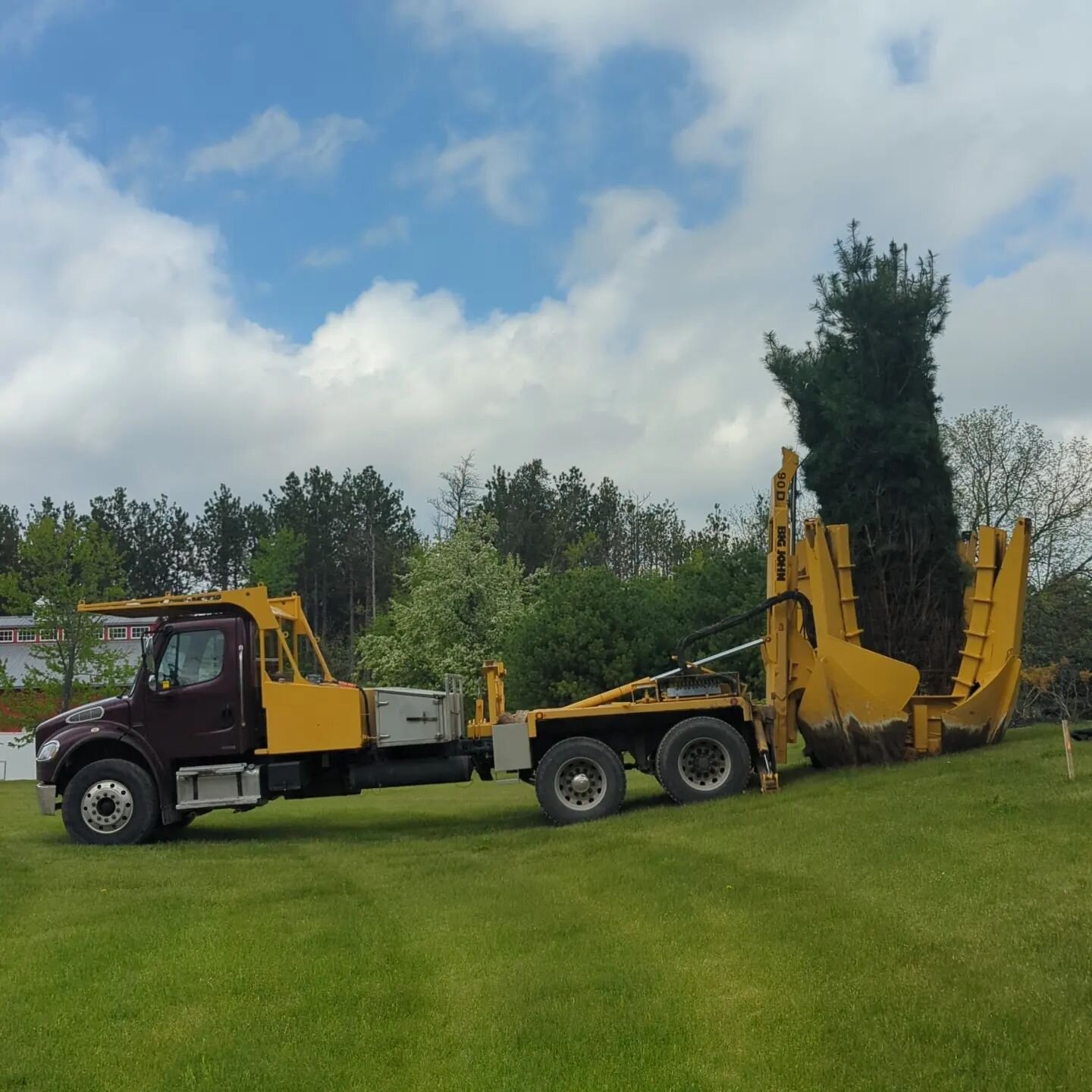 Great day to plant some white pine! 90&quot; Big John tree spade doing work.