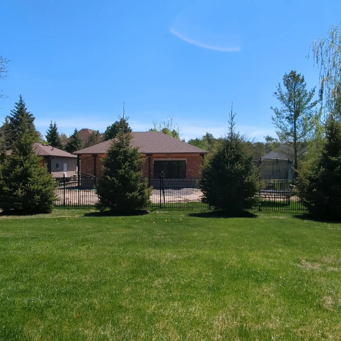 Four beautiful 15ft White Spruce planted and mulched. Great for privacy!