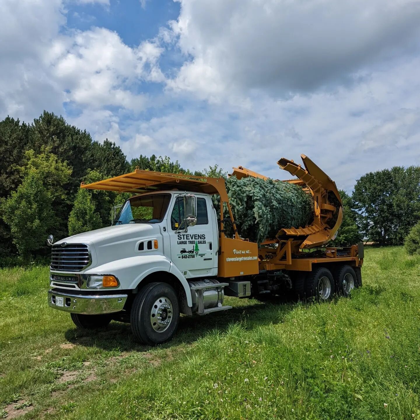 We did some truck trading recently, and changed our 90&quot; spade to this 2006 Sterling. One of the first jobs was helping out Bloomington downs golf club with 6 new trees on a couple of their holes.