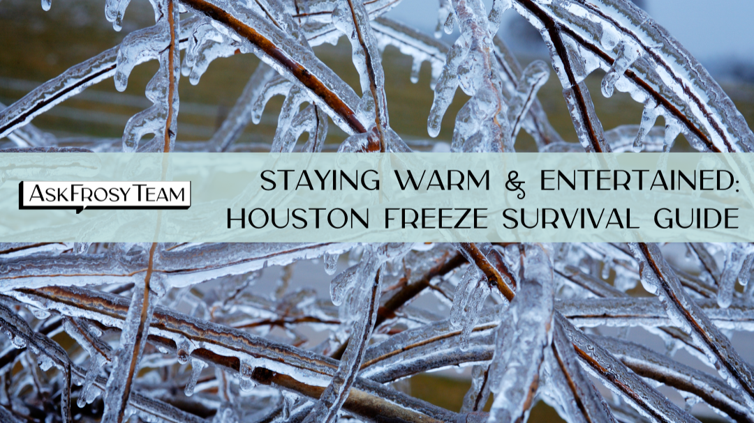 Houston Freeze Survival Guide 2026