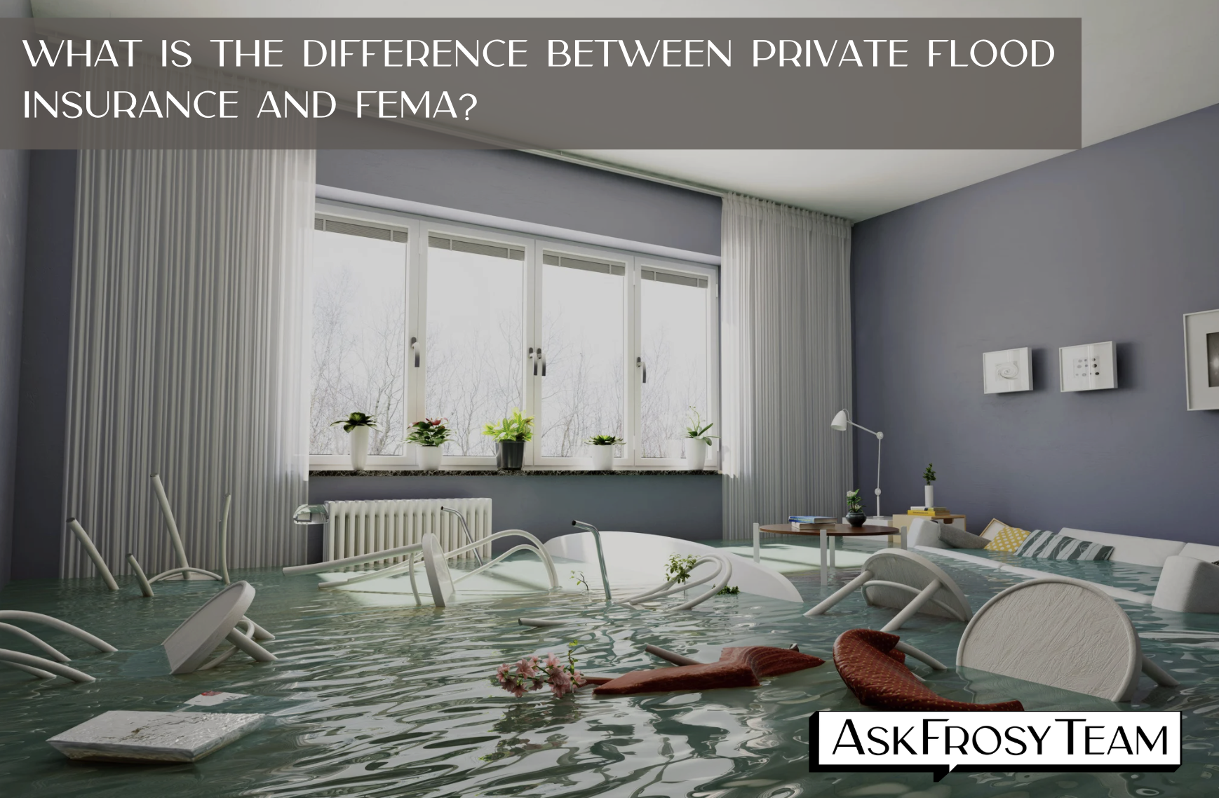 What is the difference between private flood insurance and FEMA?