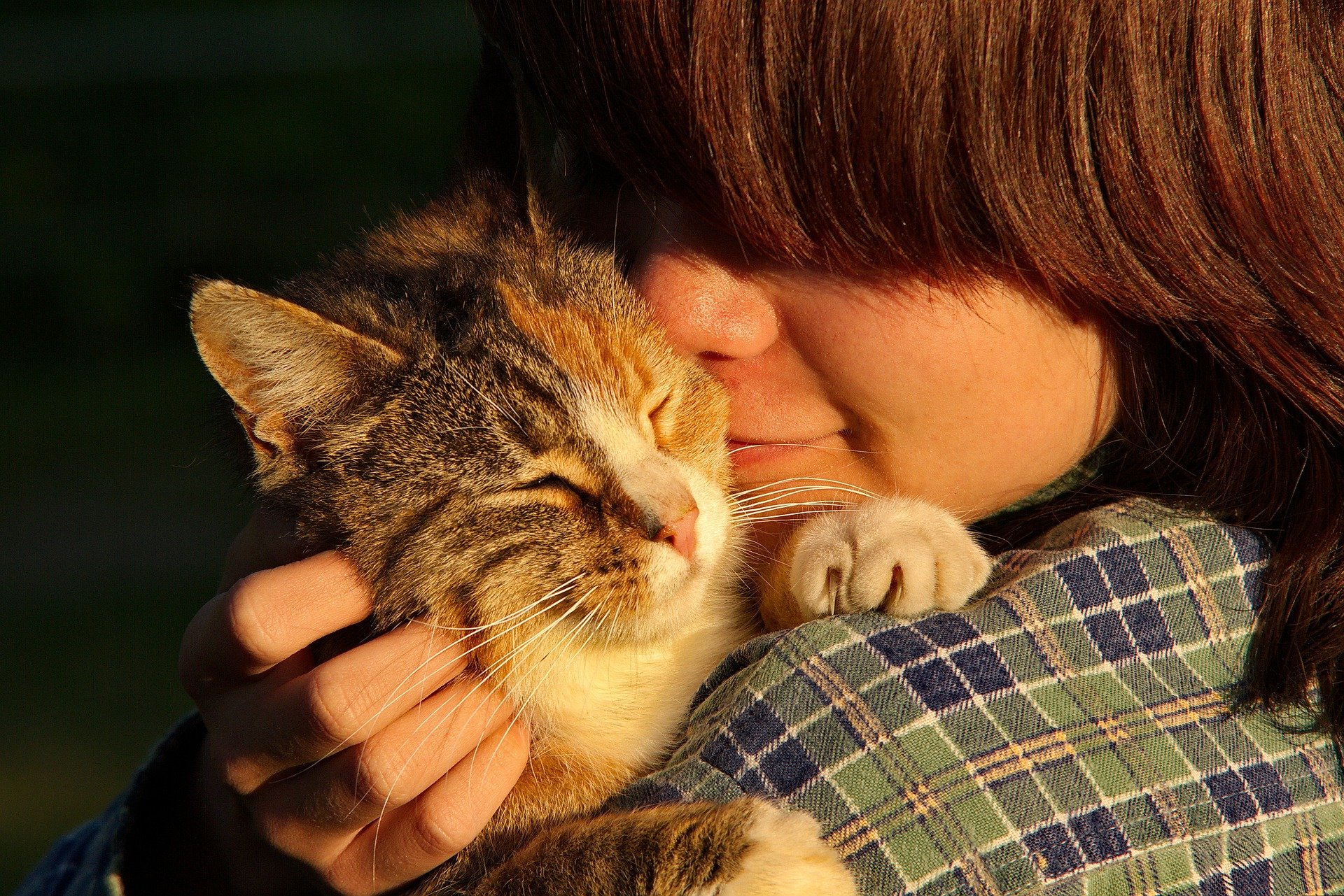 A person snuggling a tabby cat