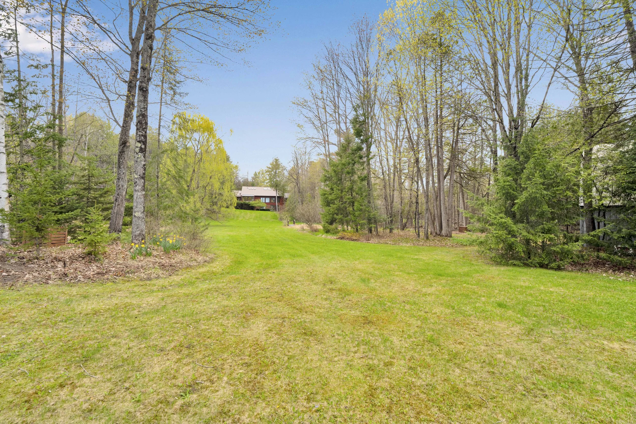 NVISION3D.ca Real Estate Media Ottawa  A lush, green backyard with a well-maintained lawn, surrounded by various trees and bushes, and a house in the distance under a clear blue sky.