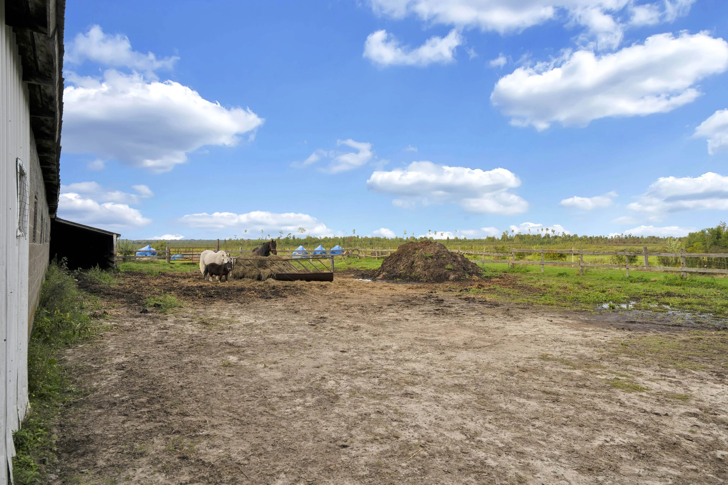A farm scene with a barn on the left, horses near a hay bale, a dirt path, a fenced pasture, and a bright blue sky with fluffy clouds.