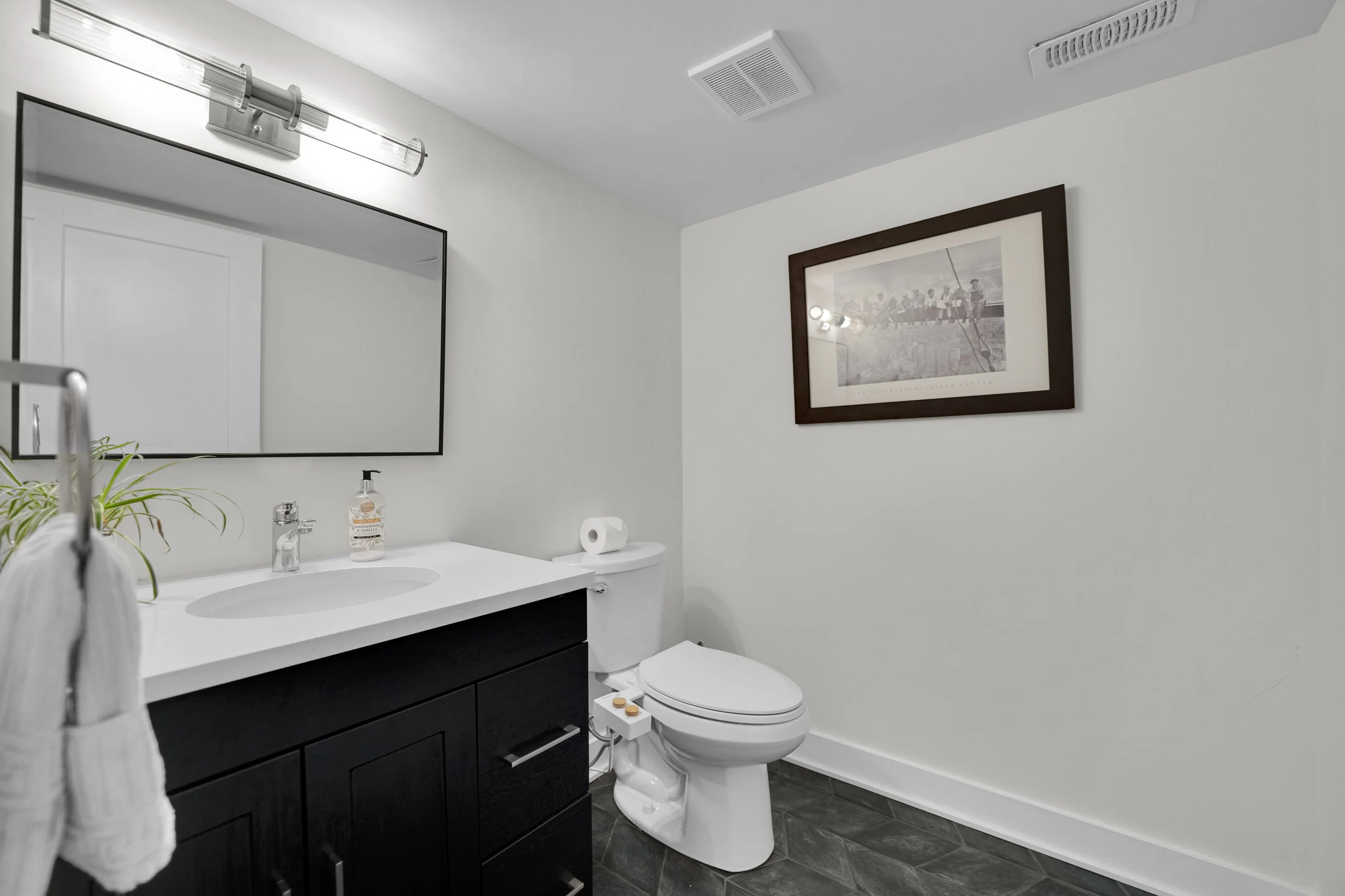 Modern bathroom with white walls, a large mirror above a white sink, a black vanity with drawers, a framed black-and-white photograph on the wall, a toilet with a bidet attachment, a plant on the vanity, a soap dispenser, a roll of toilet paper, and 