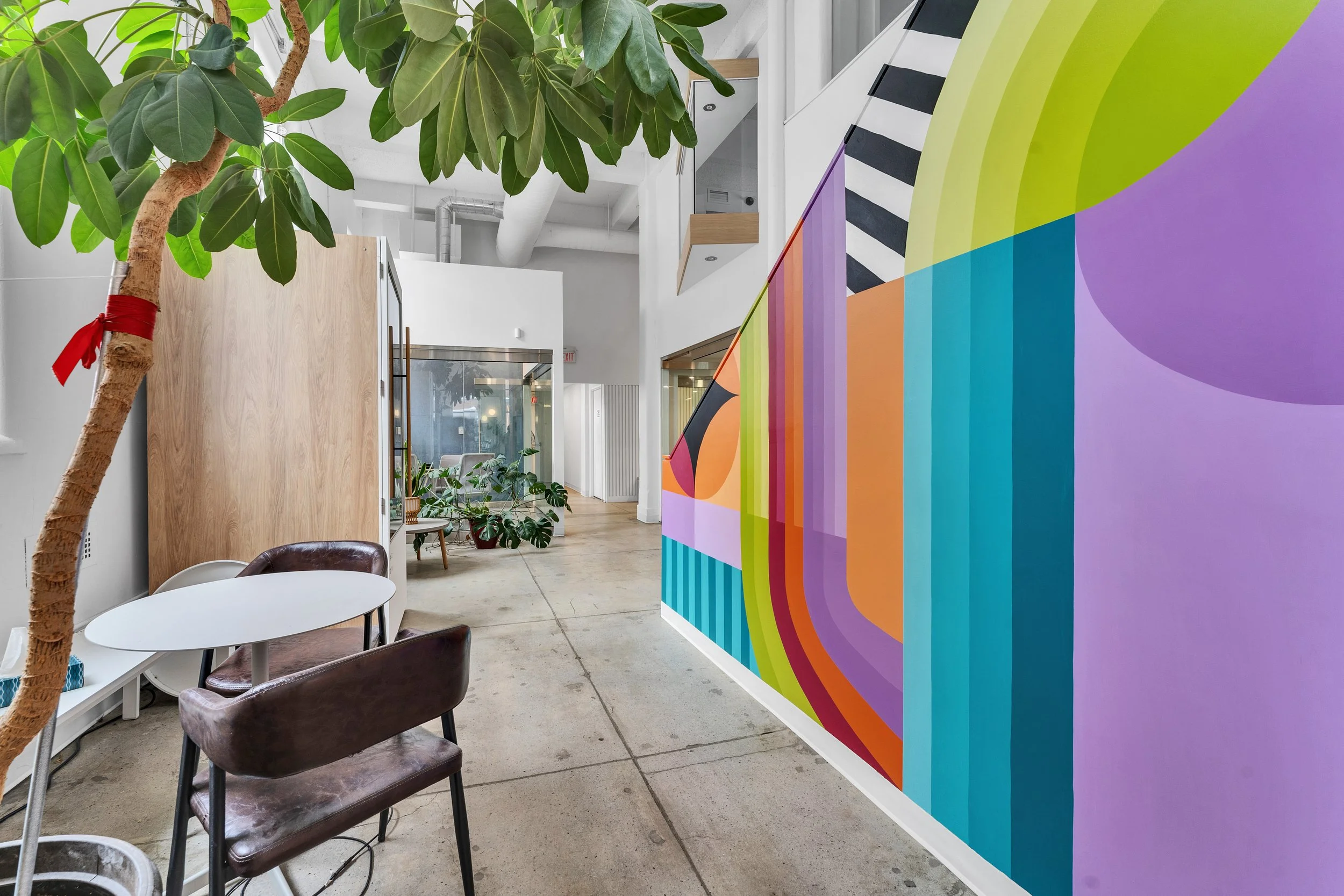 photographie immobilInterior of a modern office with a colorful geometric mural on the right wall, a large leafy plant in the foreground, a white table and brown chairs on the left, and a room with additional plants and glass walls in the background.