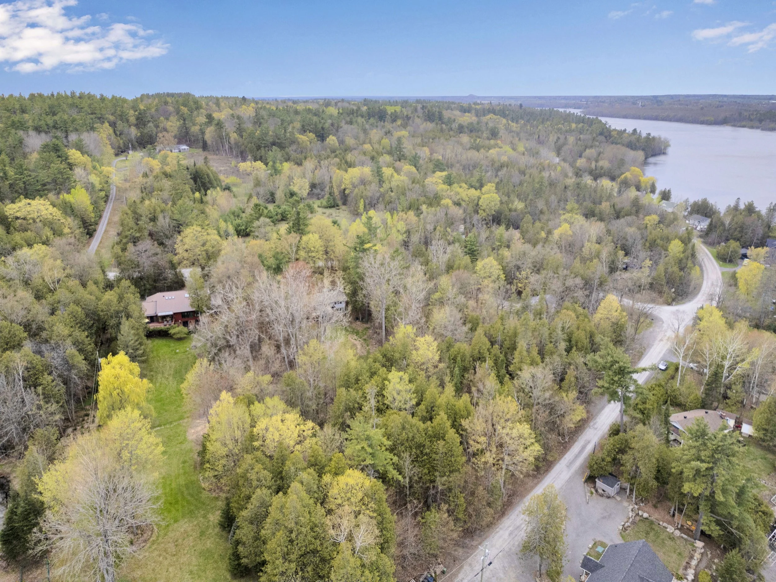 Ottawa Real Estate Media Services  Aerial view of a lush green landscape with a winding river, trees, and houses with roads and paths visible amidst the foliage.