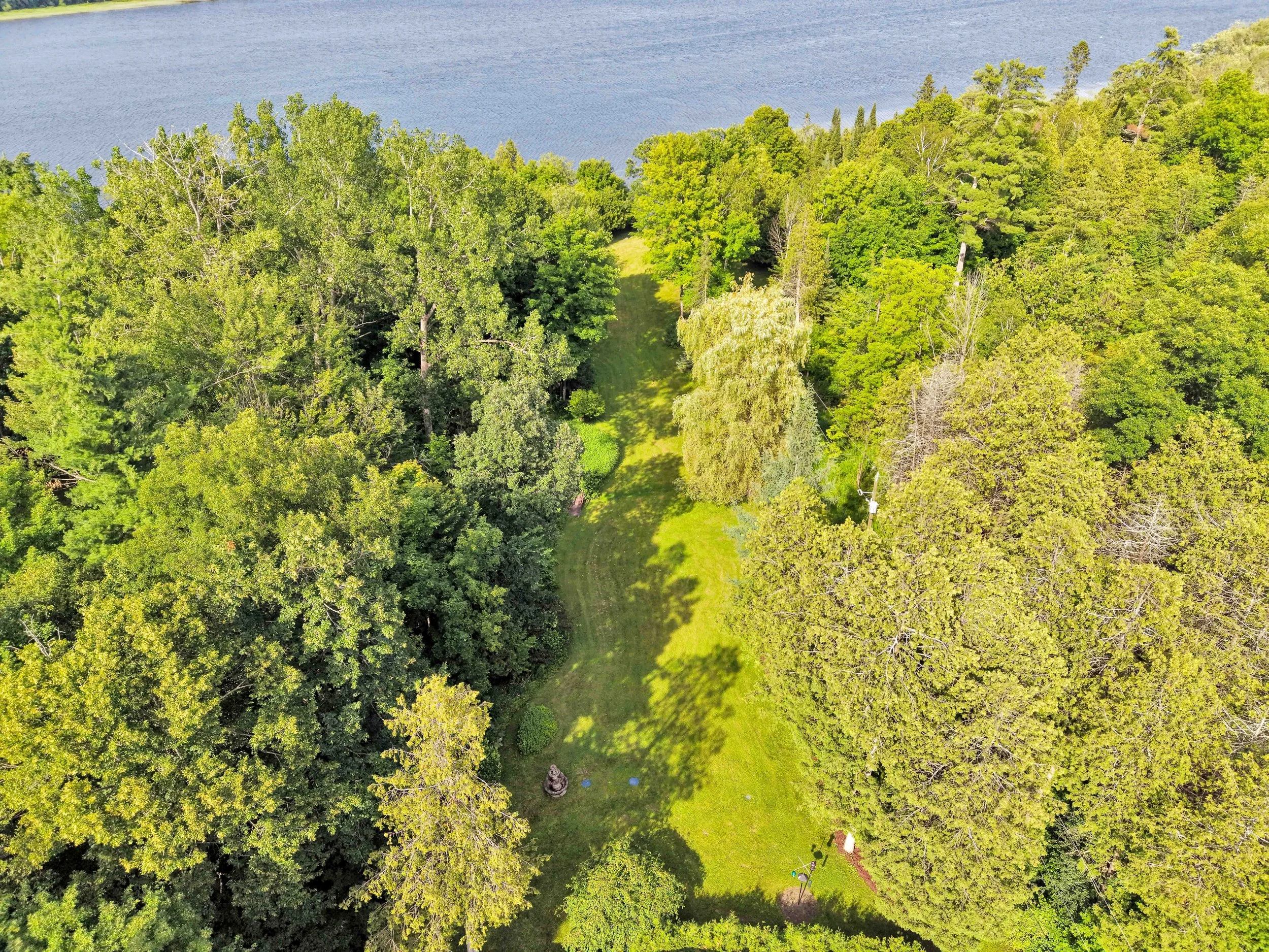 NVISION 3D Real Estate Media  Aerial view of lush green trees next to a body of water with a small grassy clearing in the middle.