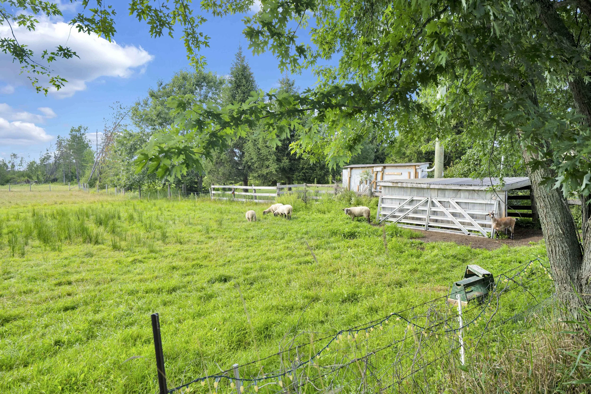 Ottawa Farmland Photography NVISION 3D