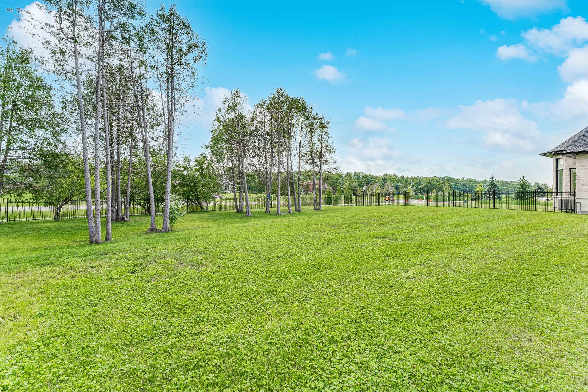 Open grassy field with sparse trees, a black metal fence, and a building on the right under a blue sky.