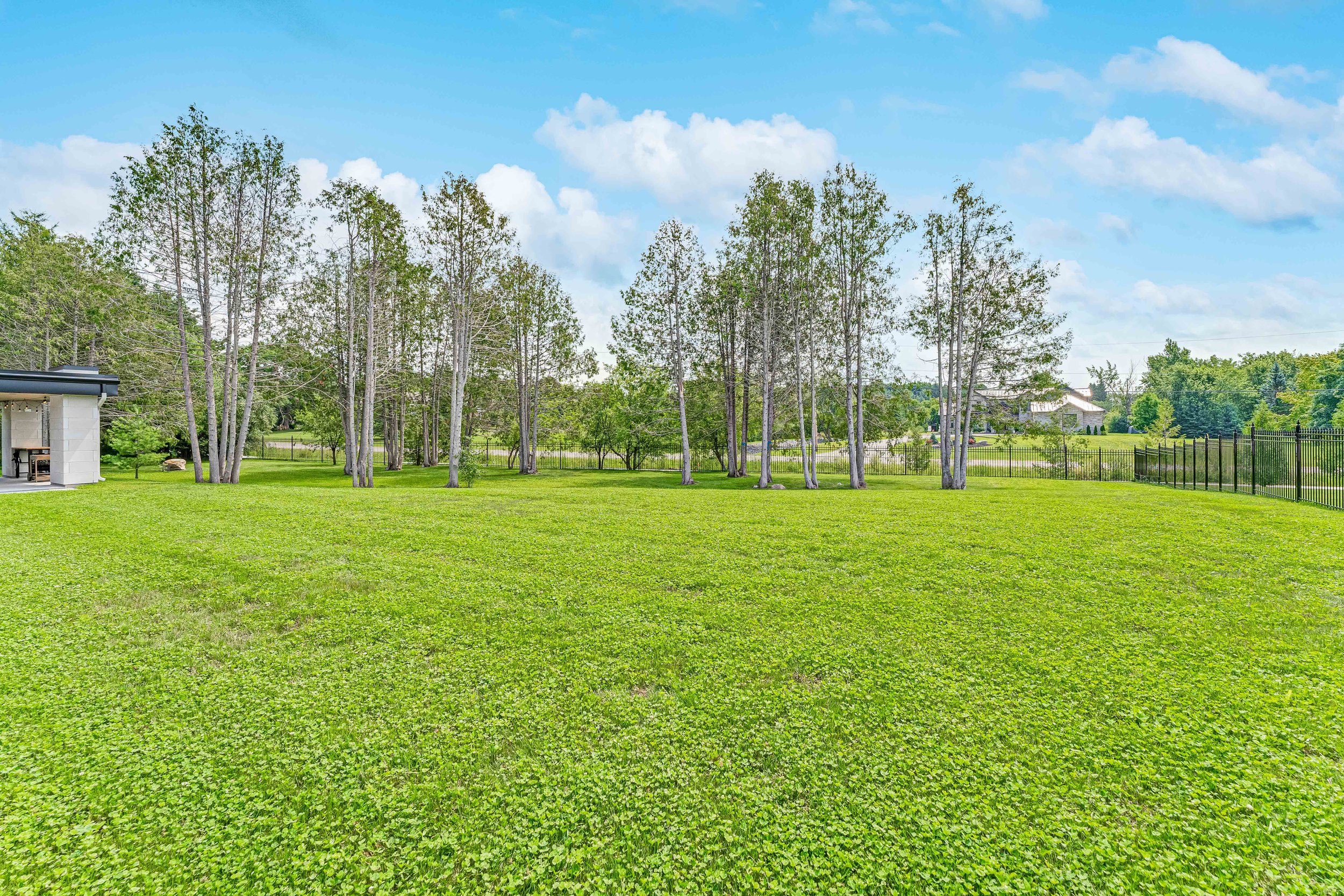 Open green lawn with tall trees and a building on the left; blue sky with clouds in background