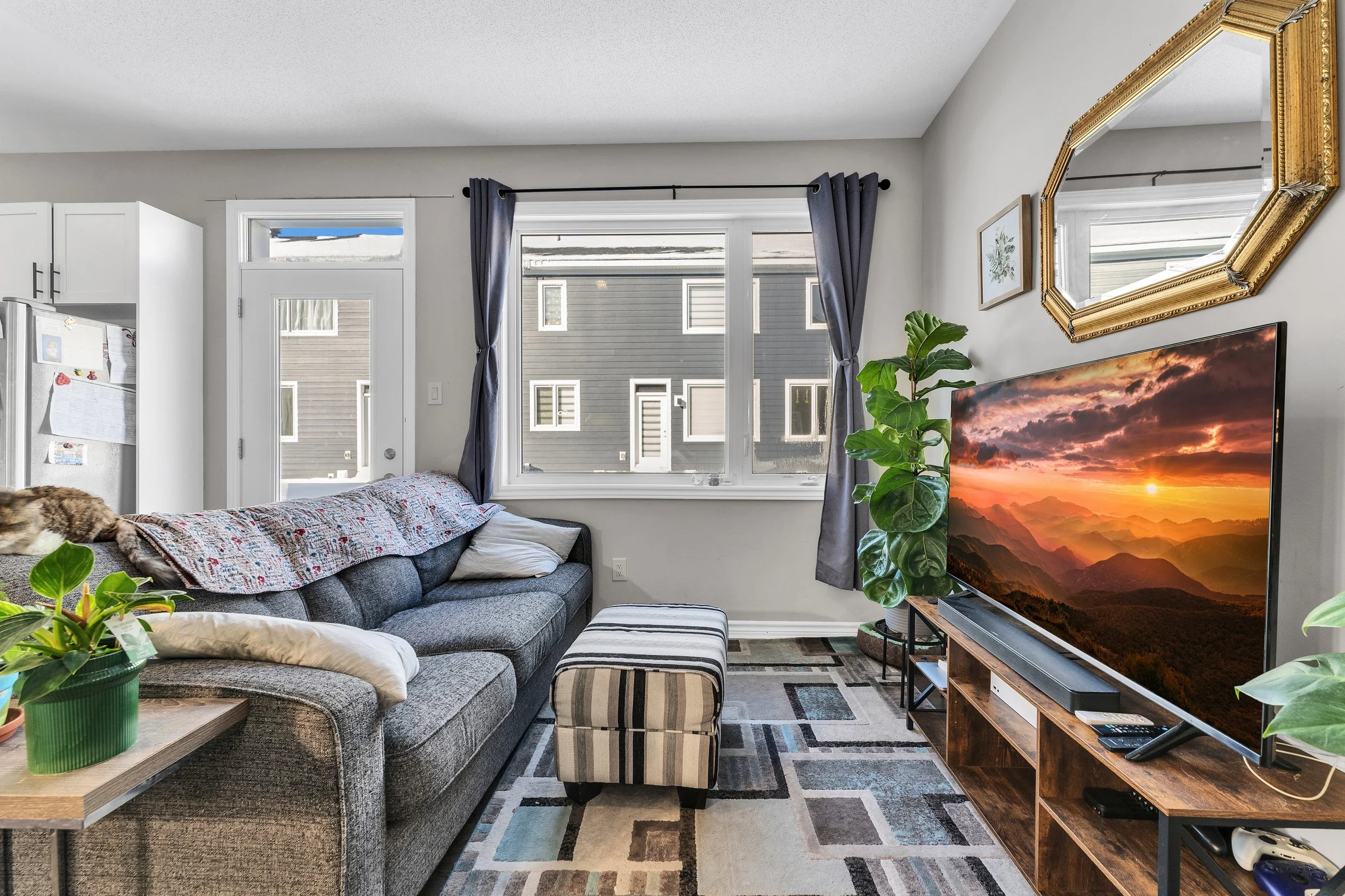 Living room with gray sofa, striped ottoman, TV on wooden stand, houseplants, window with blue curtains, mirror, and abstract rug.