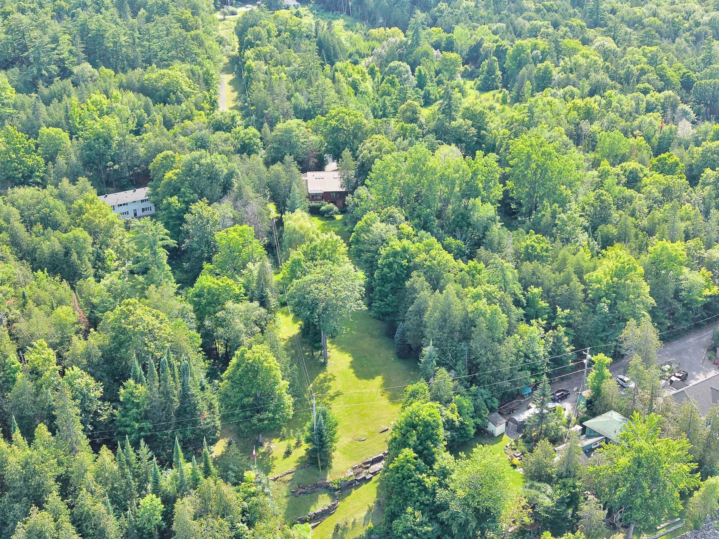 Ottawa Real Estate NVISION 3D  Aerial view of a lush green forest with a few houses and a road running through, surrounded by dense trees and open grassy areas.