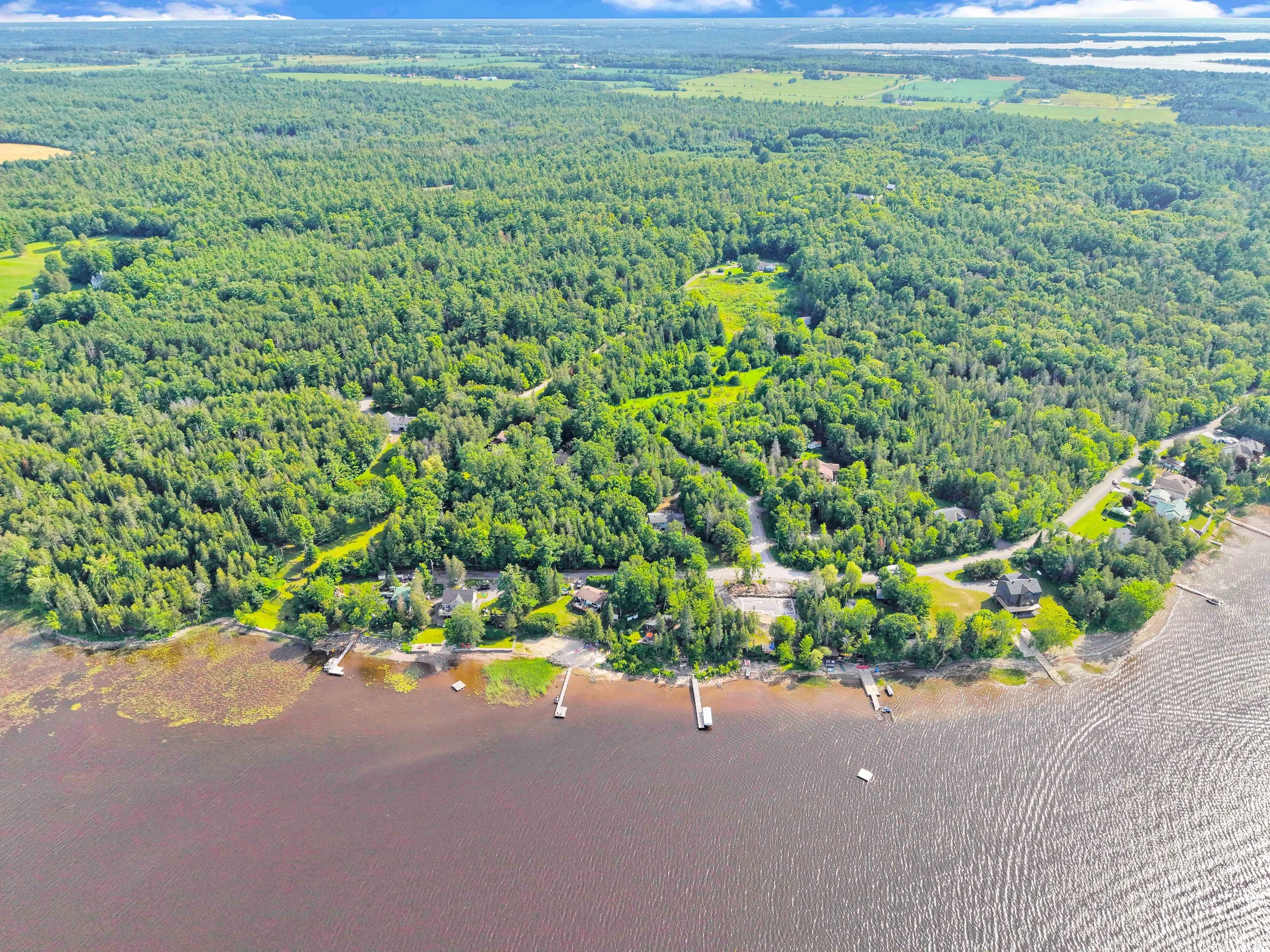 NVISION 3D Real Estate Media  Aerial view of a lush green forest along a shoreline with houses, docks, and a river or lake.