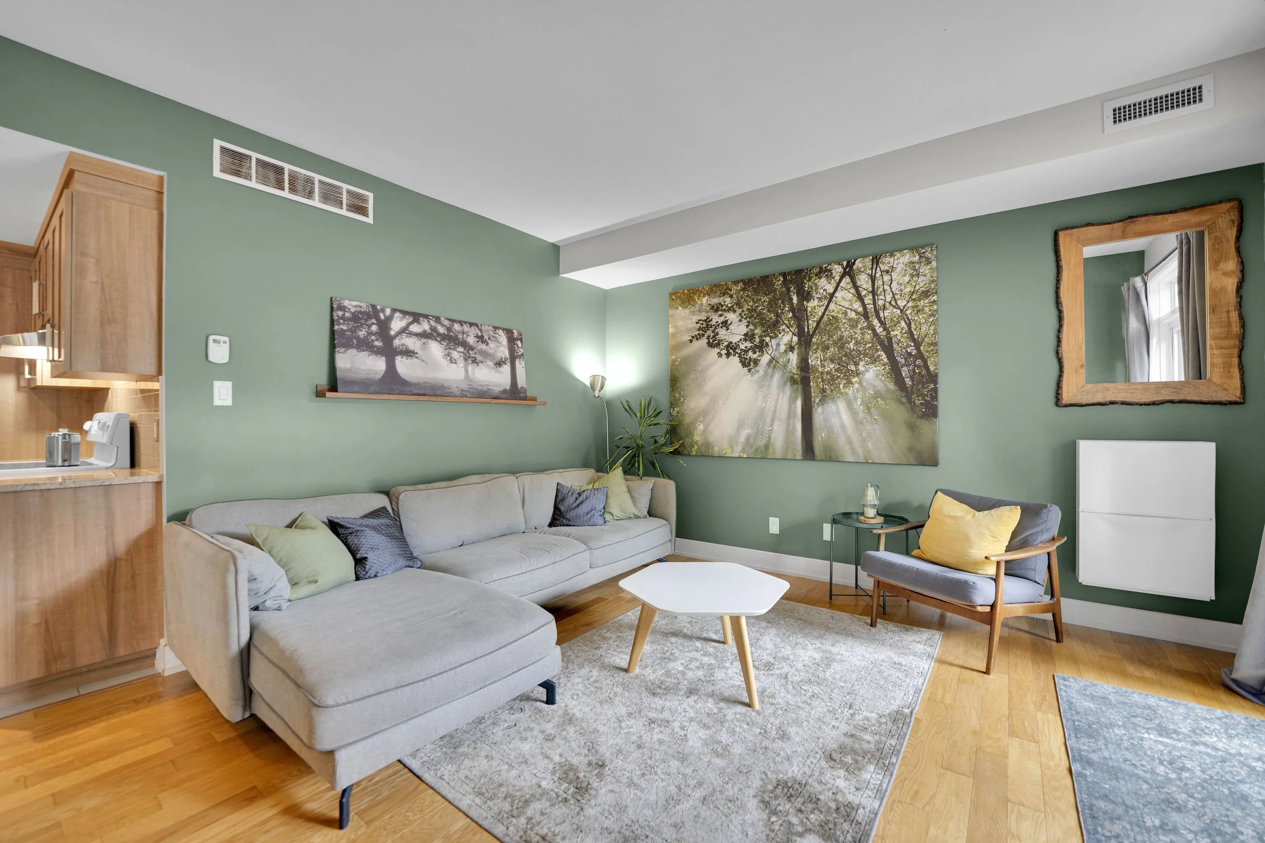 NVISION-3D-Real-Estate-Media-1220-chemin-aylmer-15.jpg
