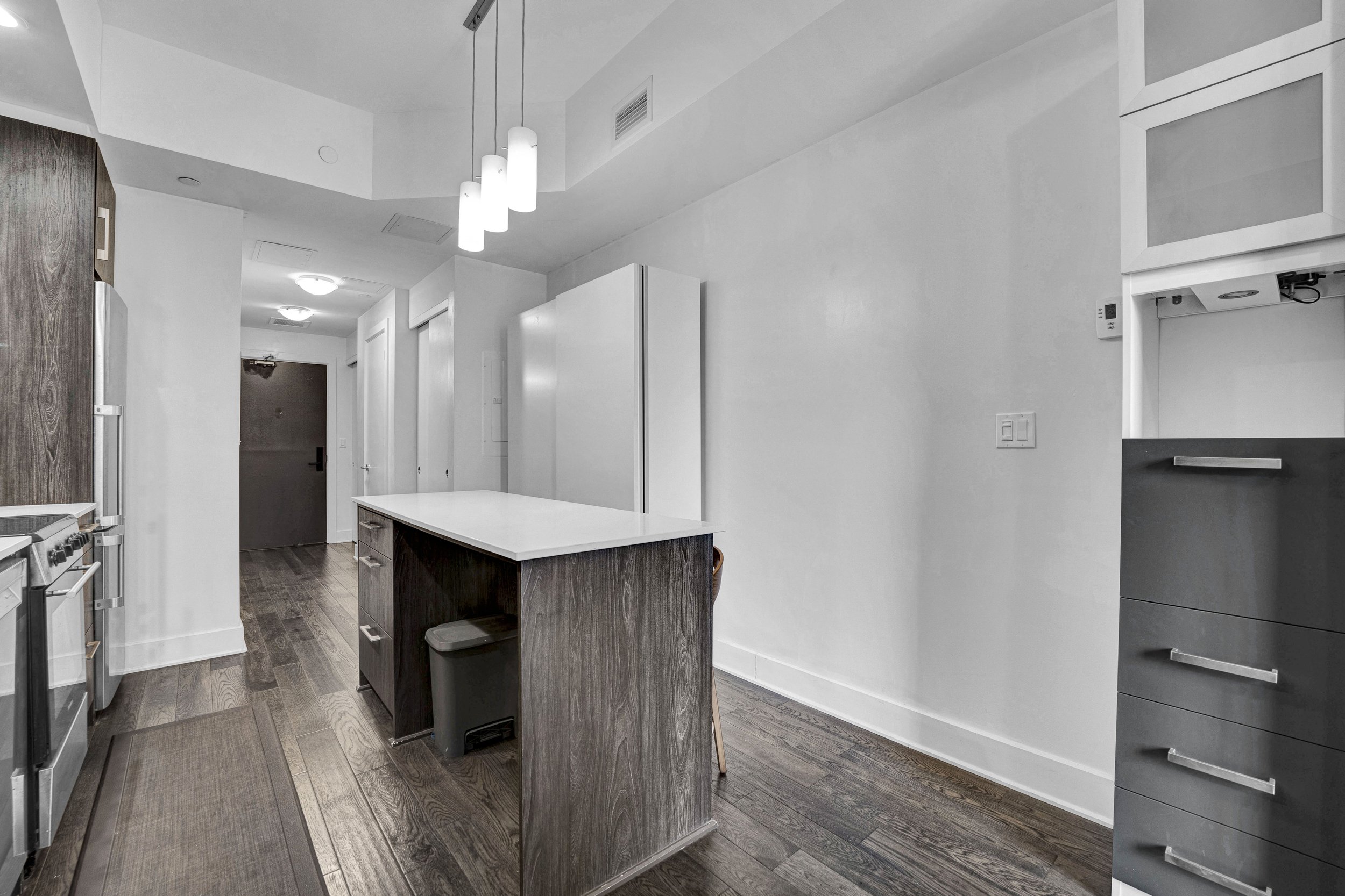255-bay-street-unit-309-kitchen