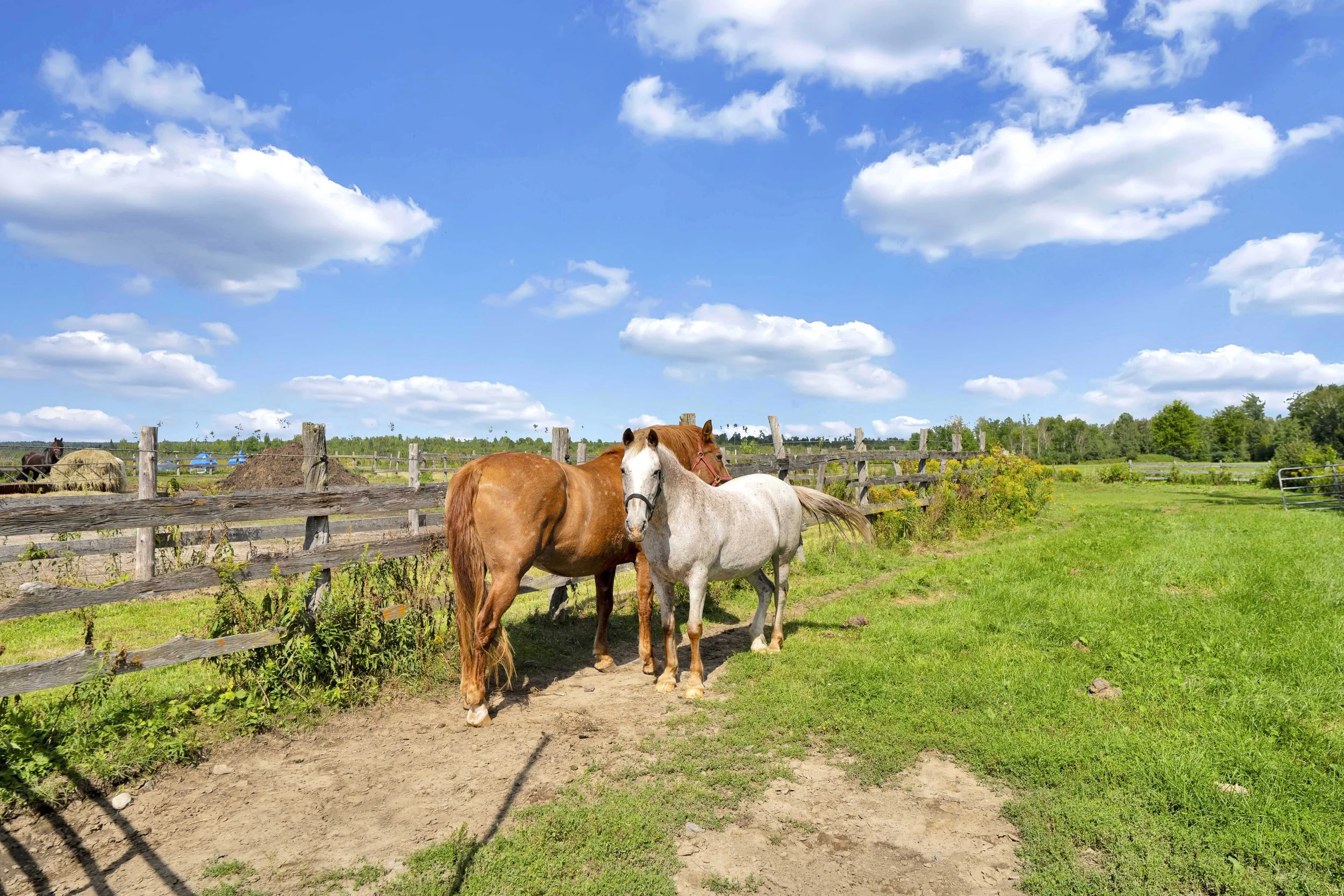 5979-leitrim-road-nvision-3d-real-estate-media-45.jpg
