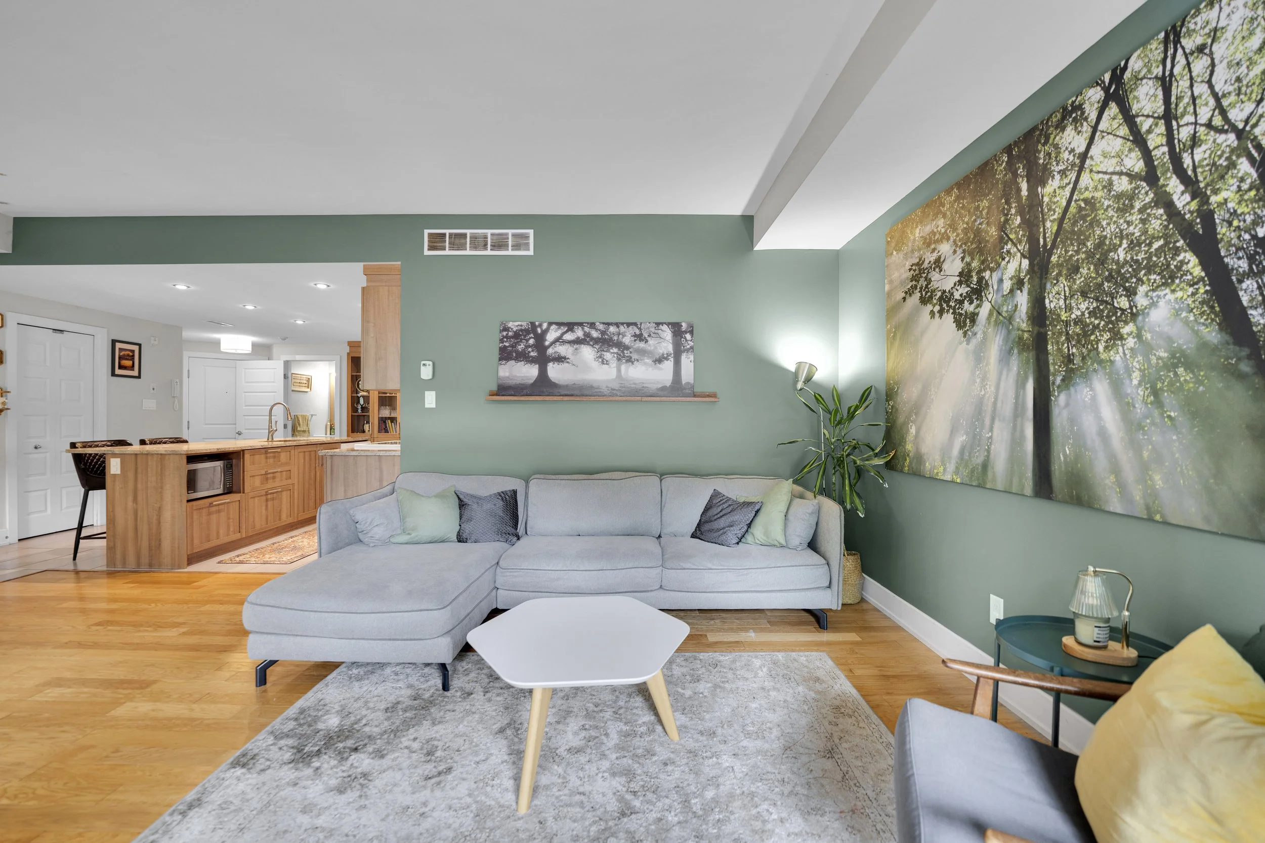 NVISION-3D-Real-Estate-Media-1220-chemin-aylmer-16.jpg
