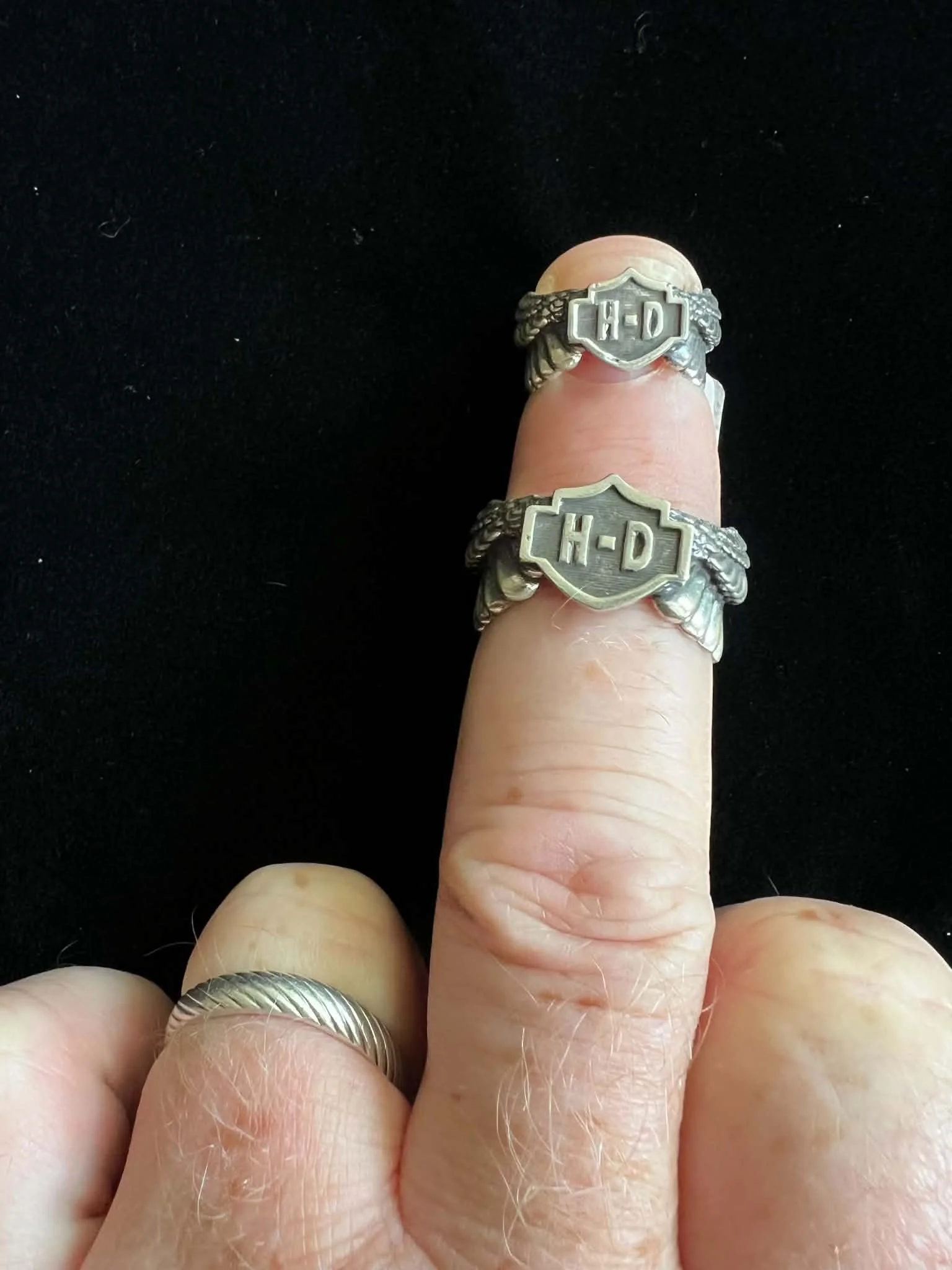 Sterling Silver HD with Wings Ring
