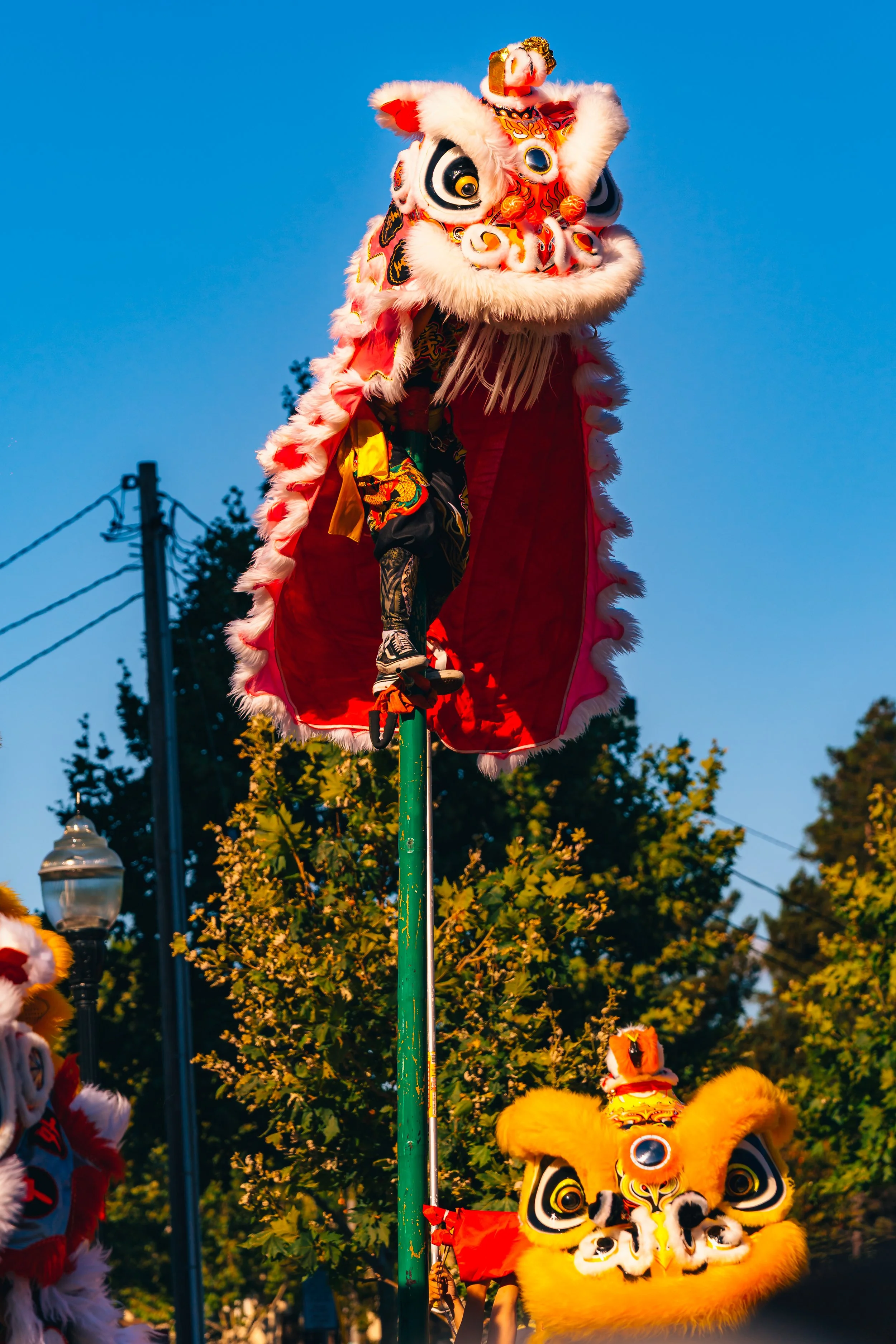 DSC09596.jpg