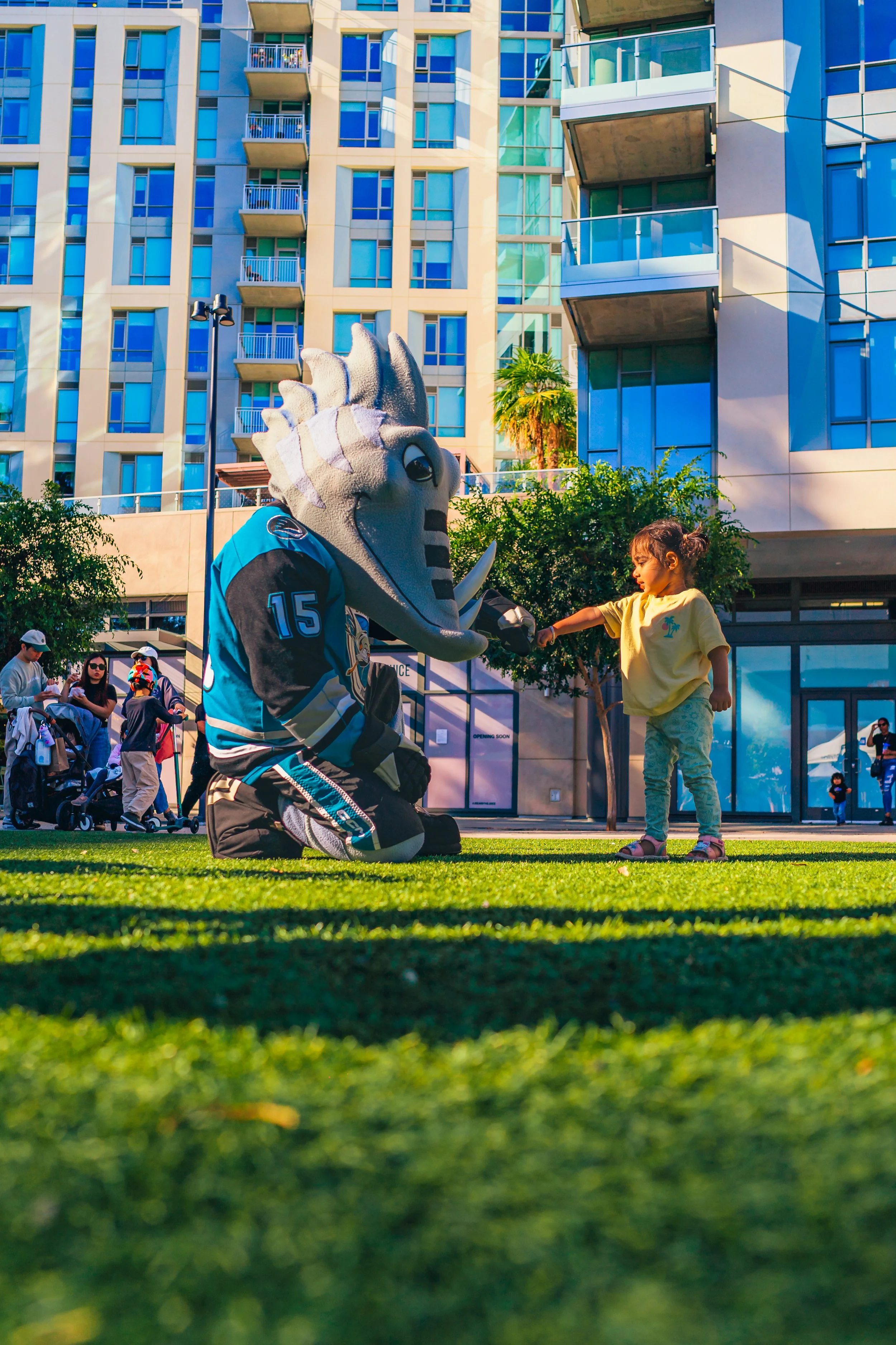 DSC09710.jpg