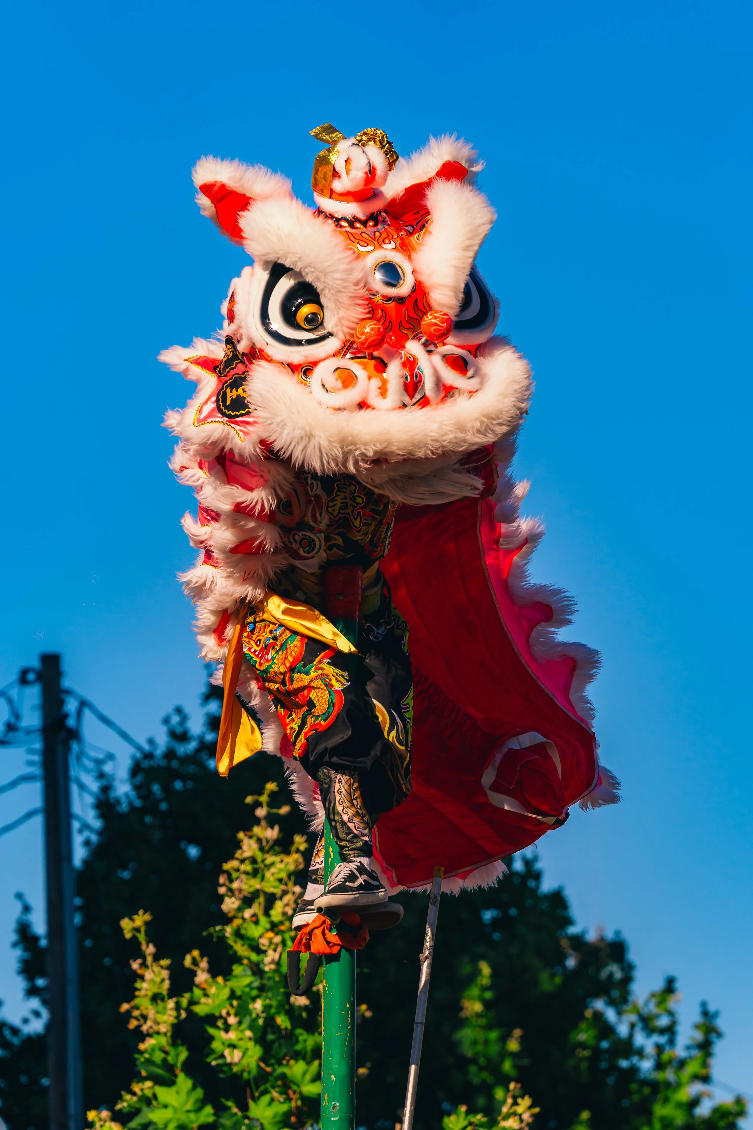 DSC09608.jpg
