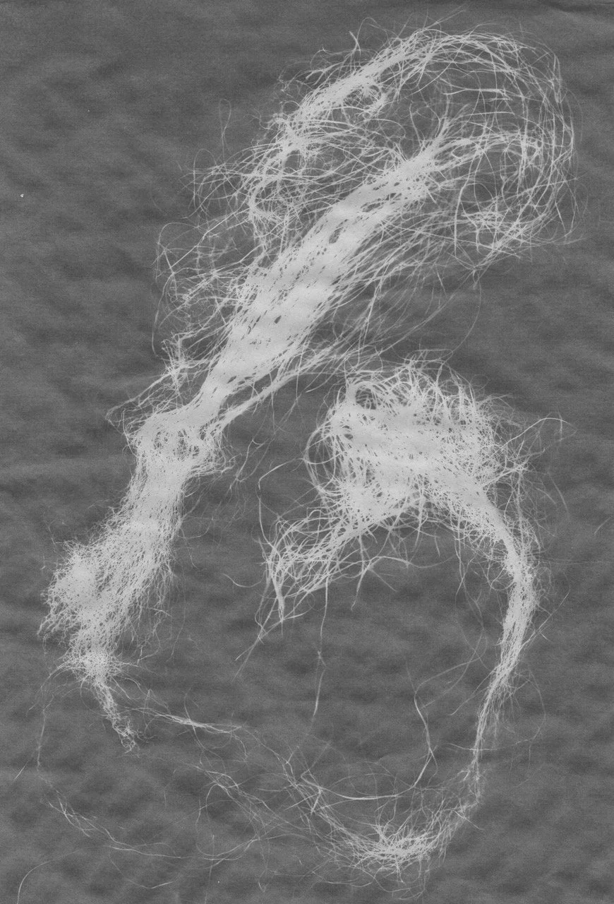 Willow Sharo_Corn Silk_Cyanotype_2025.jpeg