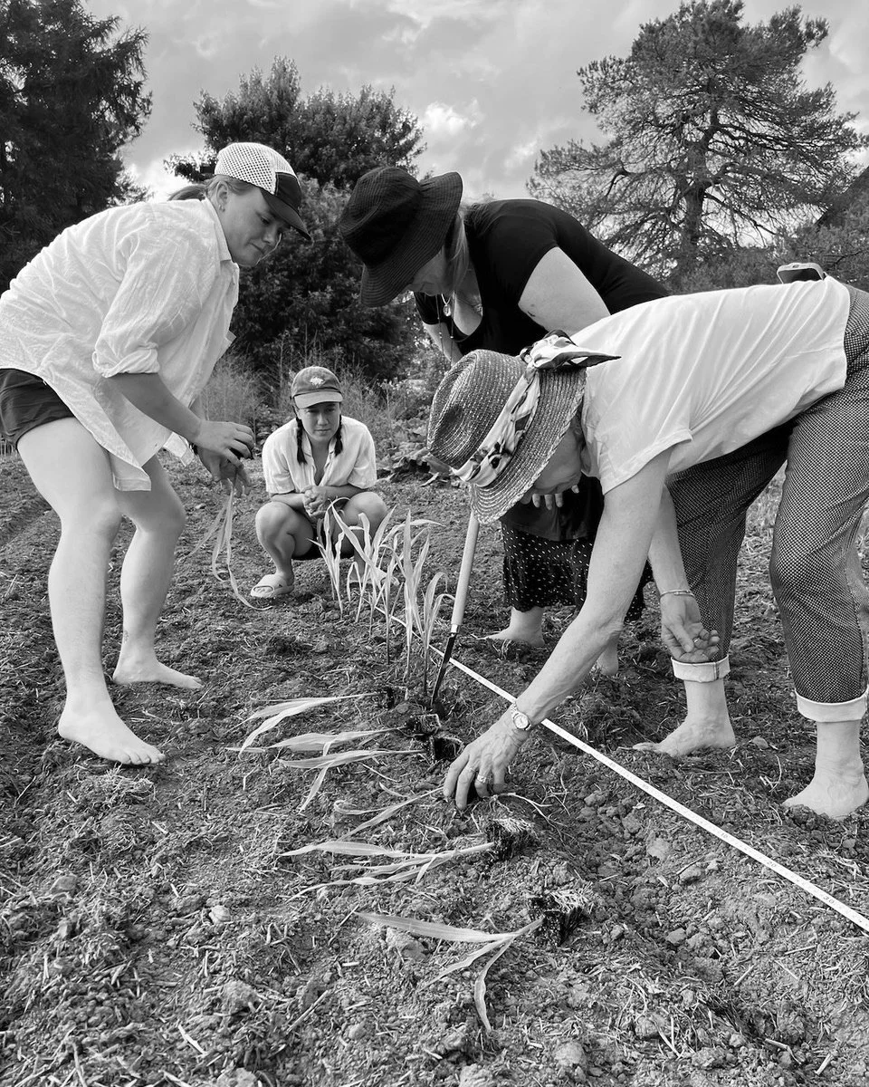 BBrown_Planting Ceremony_2025.jpeg