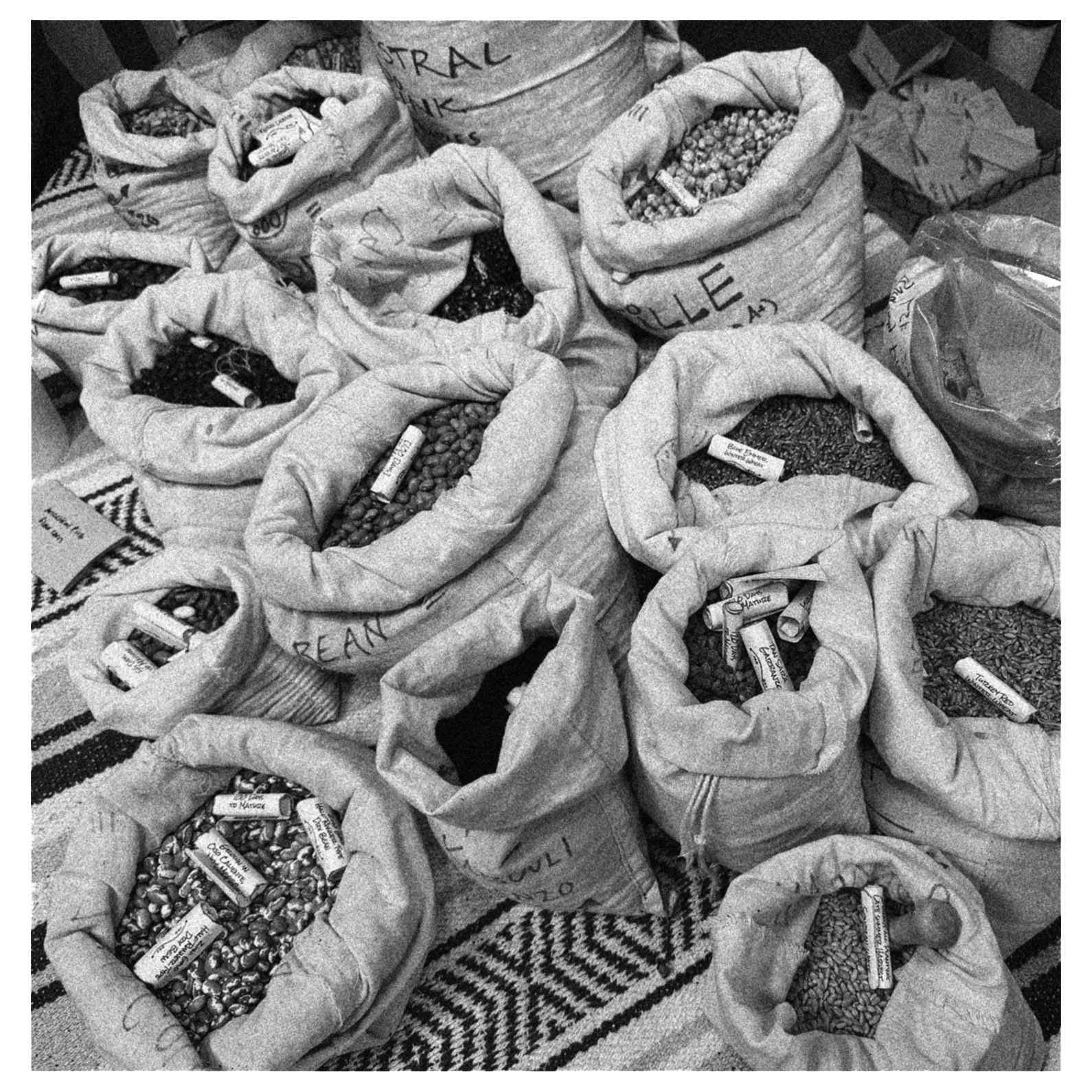 LineageSeedsRodaleEvent5x5C_Print copy.jpg