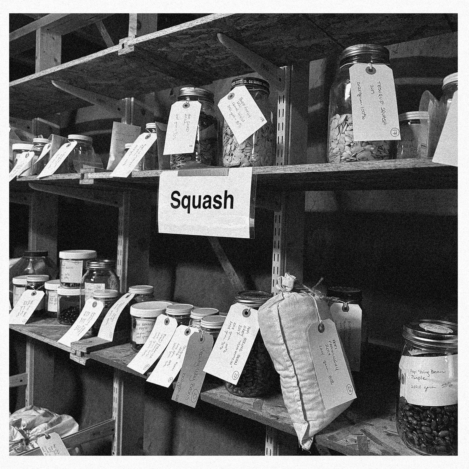 Tesuque_Shelves_5x5_CPrint.jpg