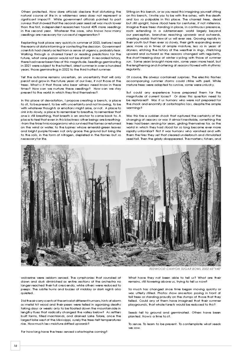 SeedBroadcast 2024 #21_edited_Page_18.jpg