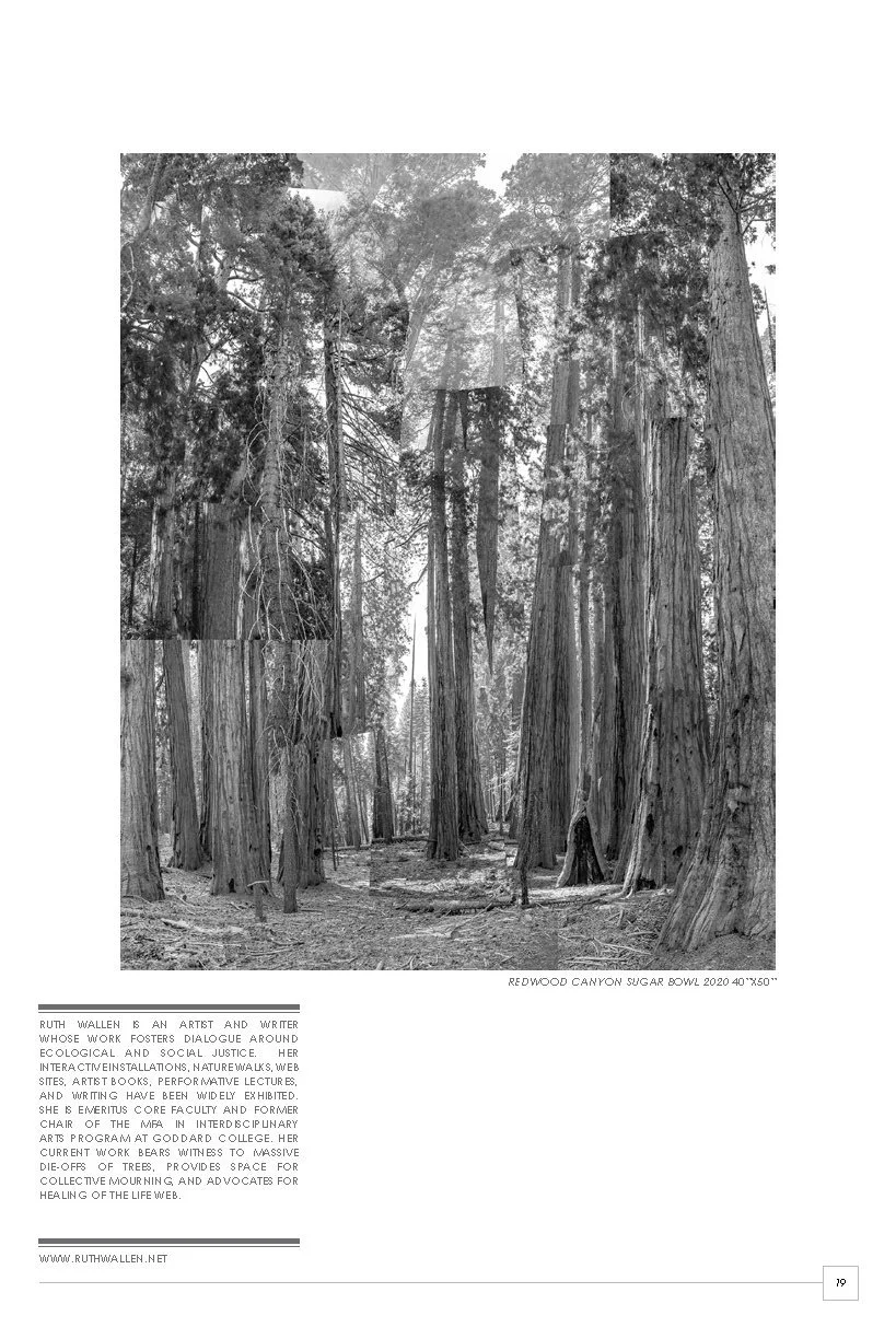 SeedBroadcast 2024 #21_edited_Page_19.jpg